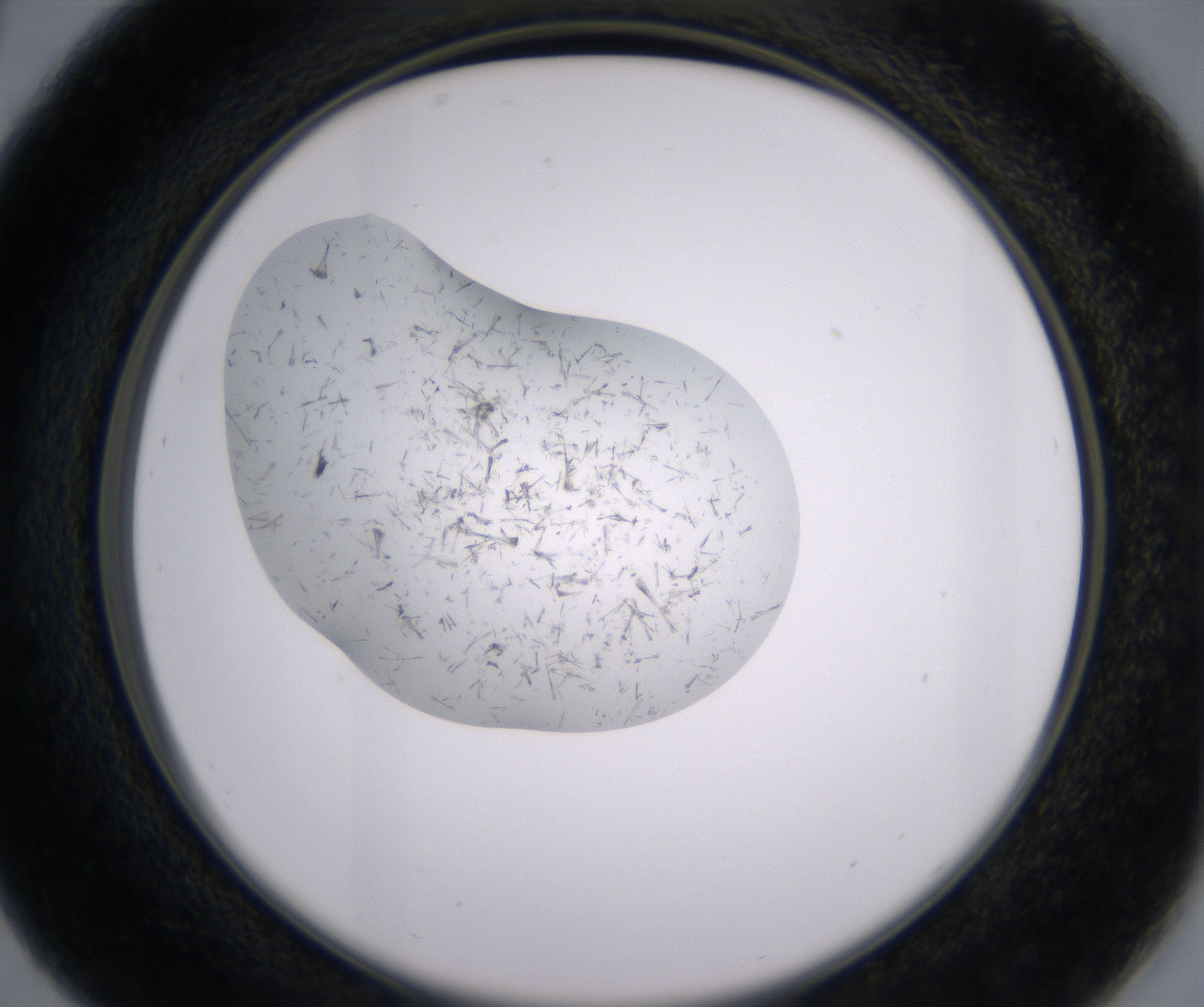 C5_HighResolution_Crystal_2.jpg