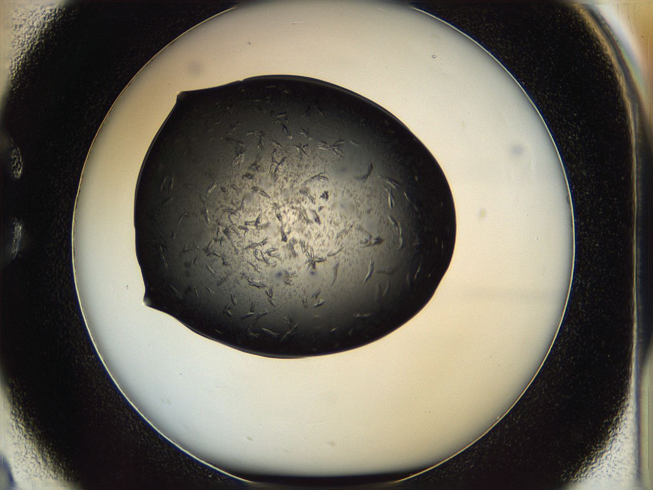 05it_C2_ImagerDefaults_7.jpg