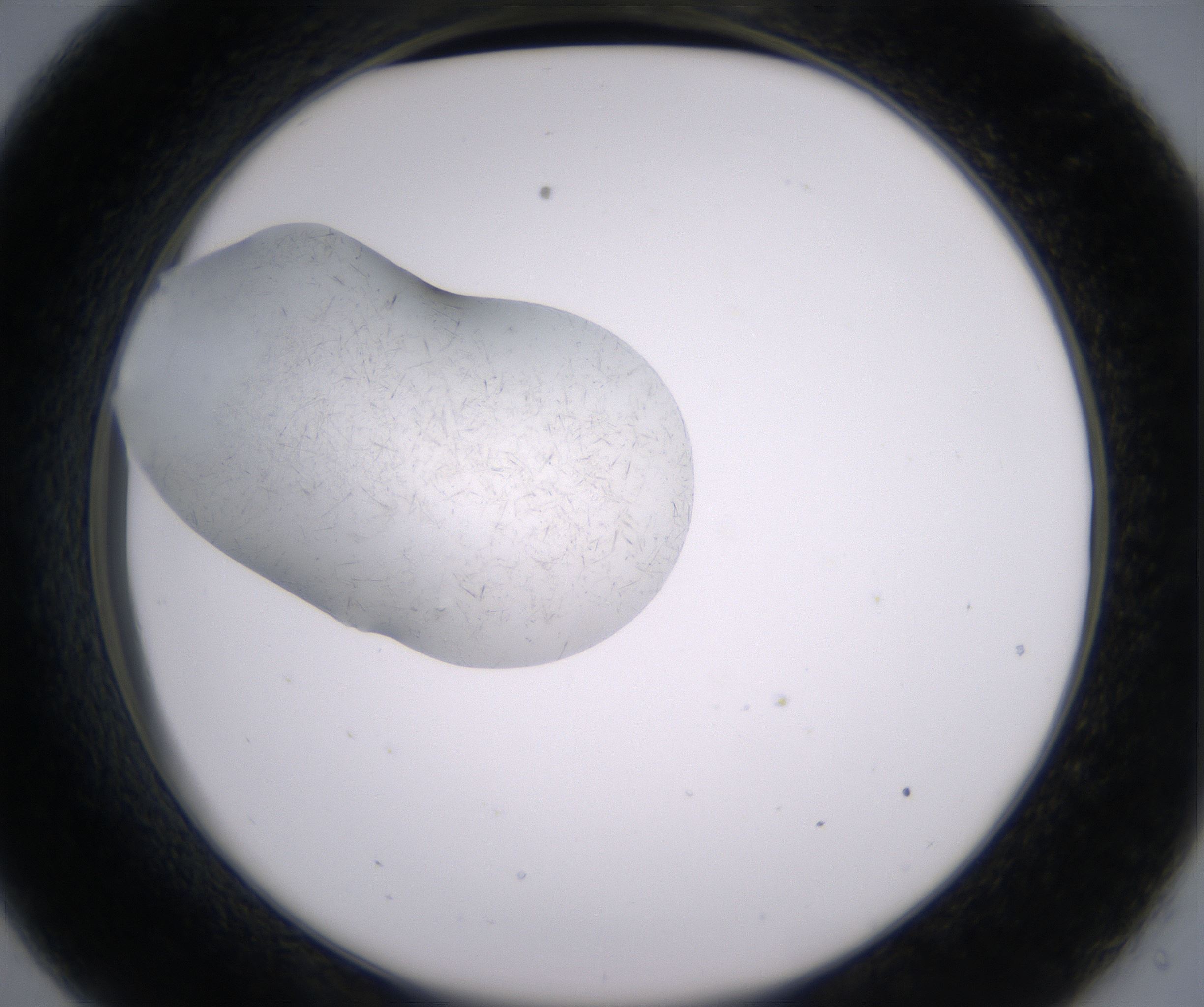 C9_HighResolution_Crystal_2.jpg