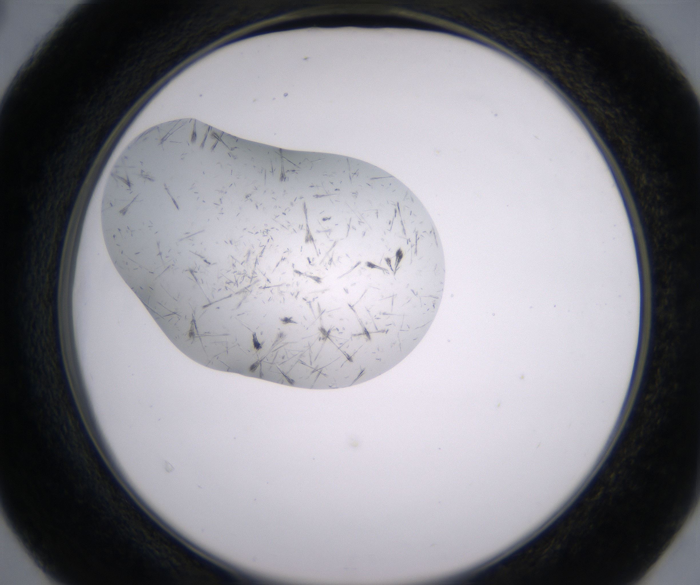 D4_HighResolution_Crystal_2.jpg