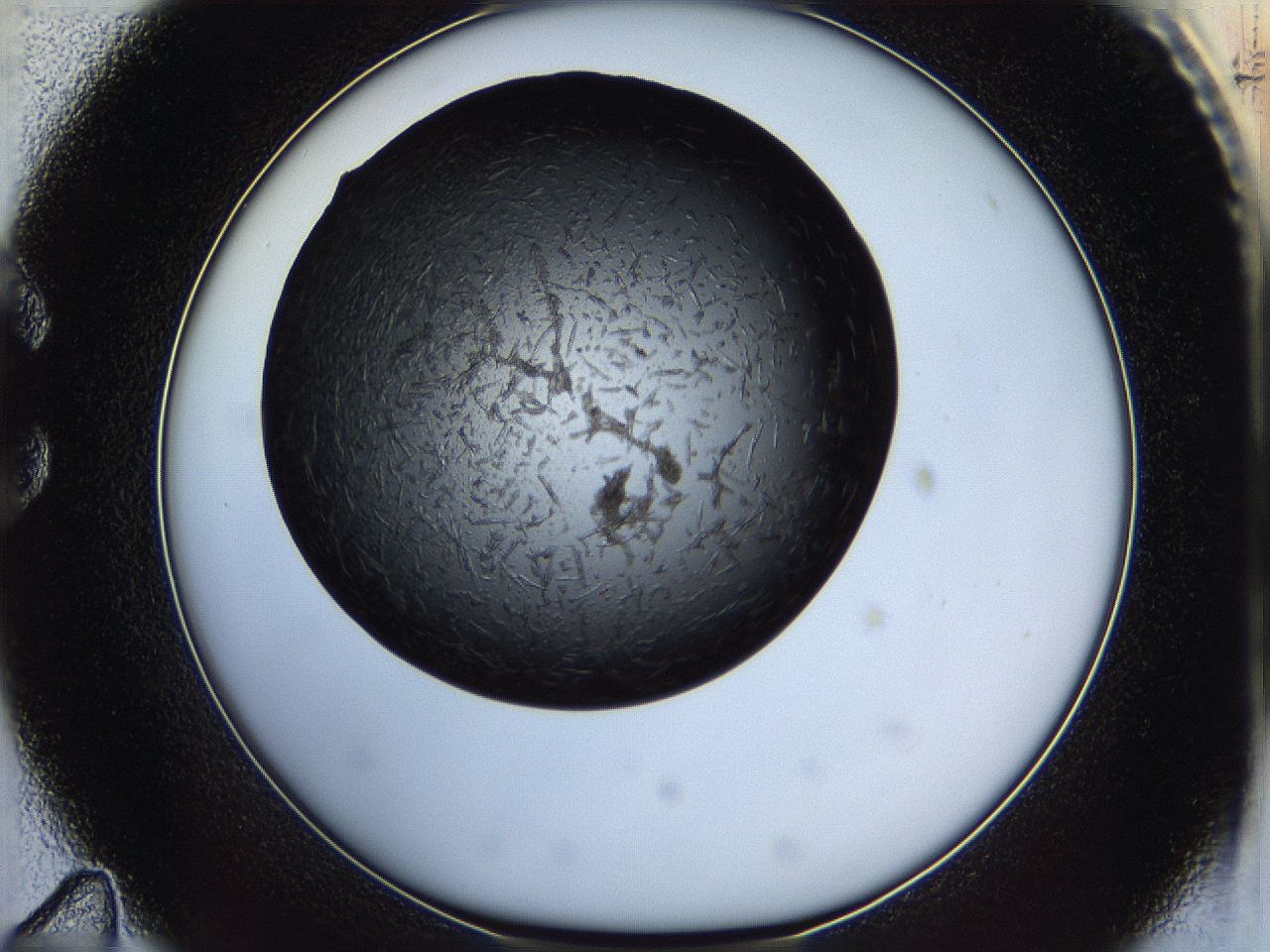 05it_C11_ImagerDefaults_6.jpg