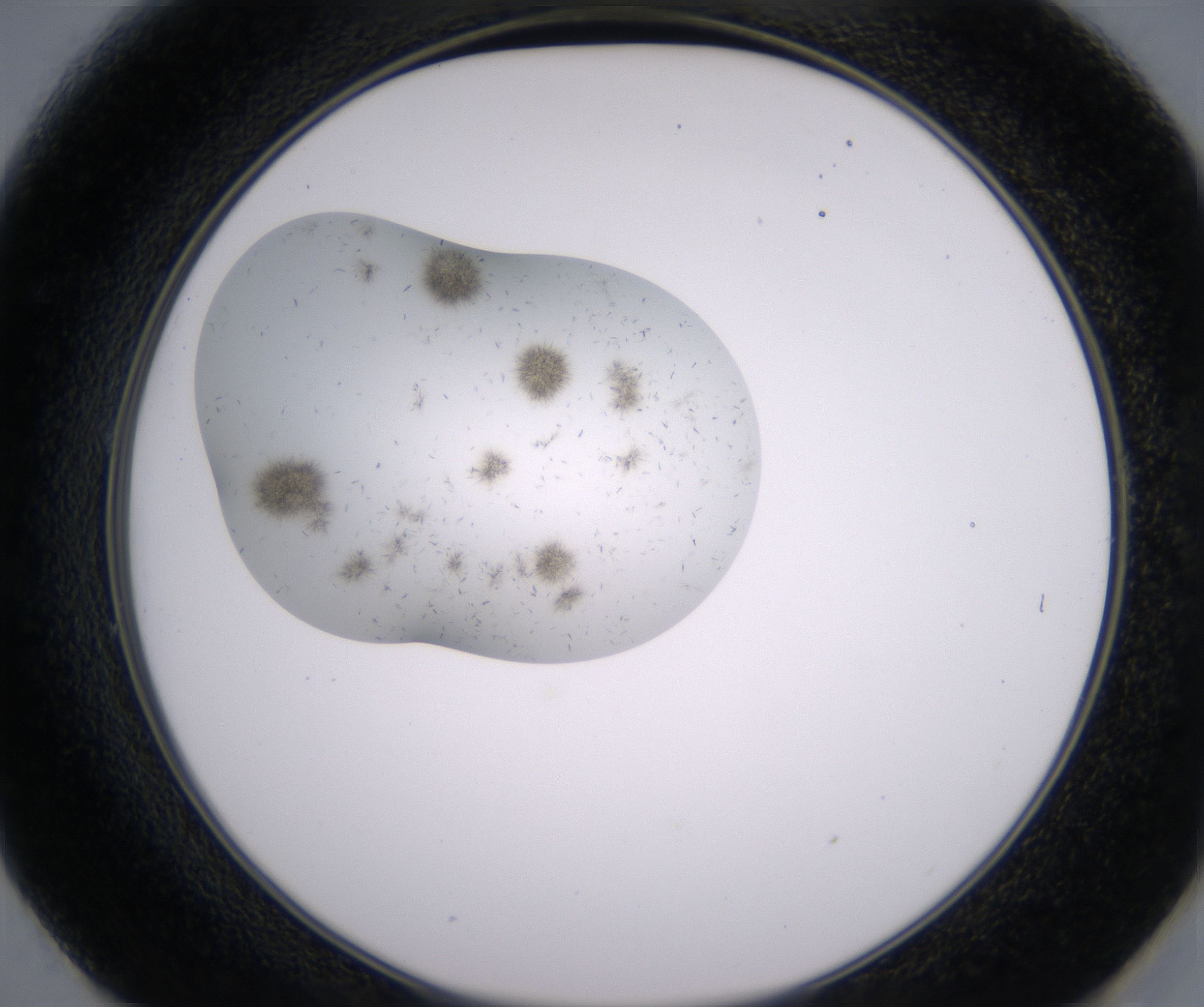 E1_HighResolution_Crystal_2.jpg
