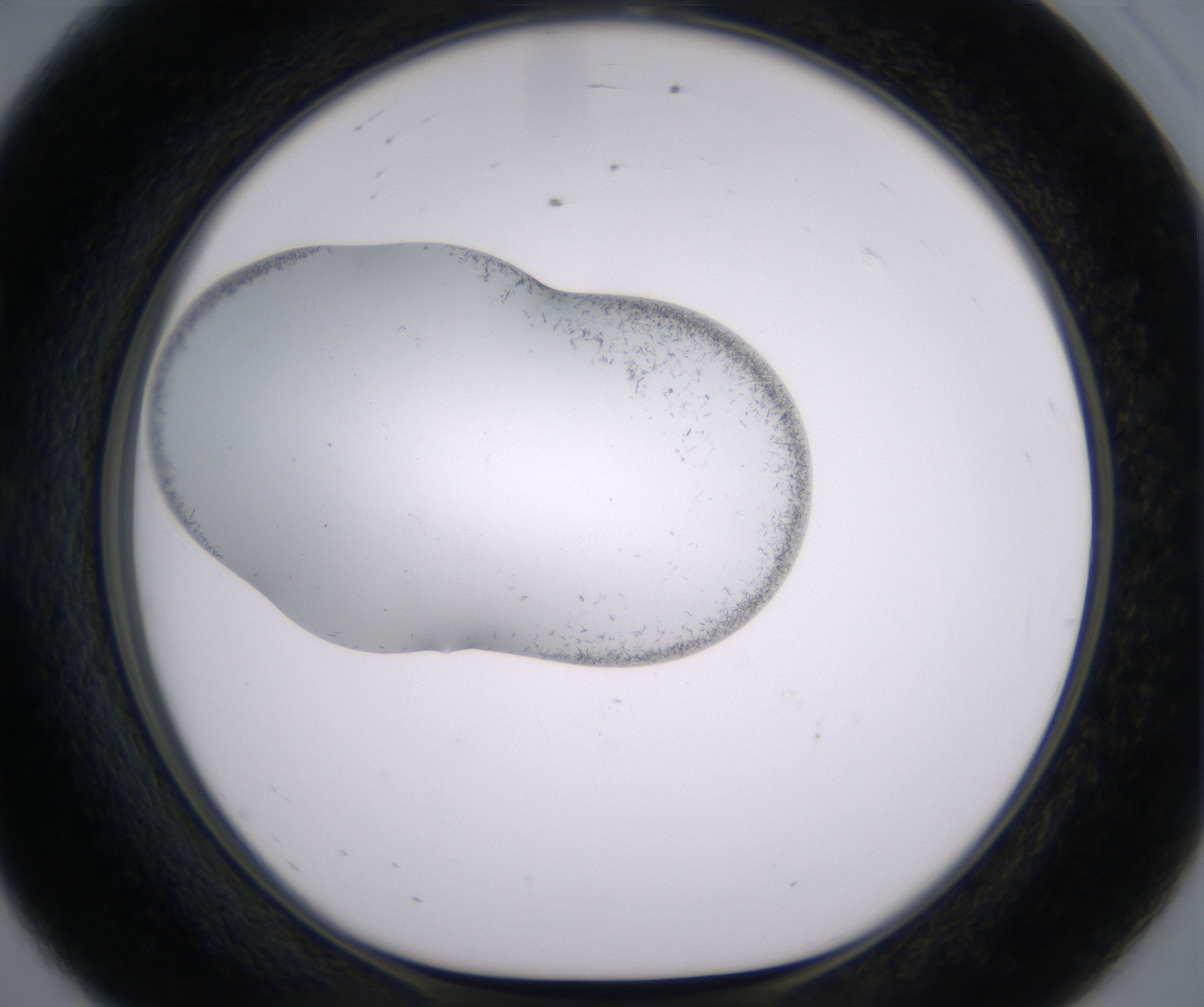 E8_HighResolution_Crystal_1.jpg