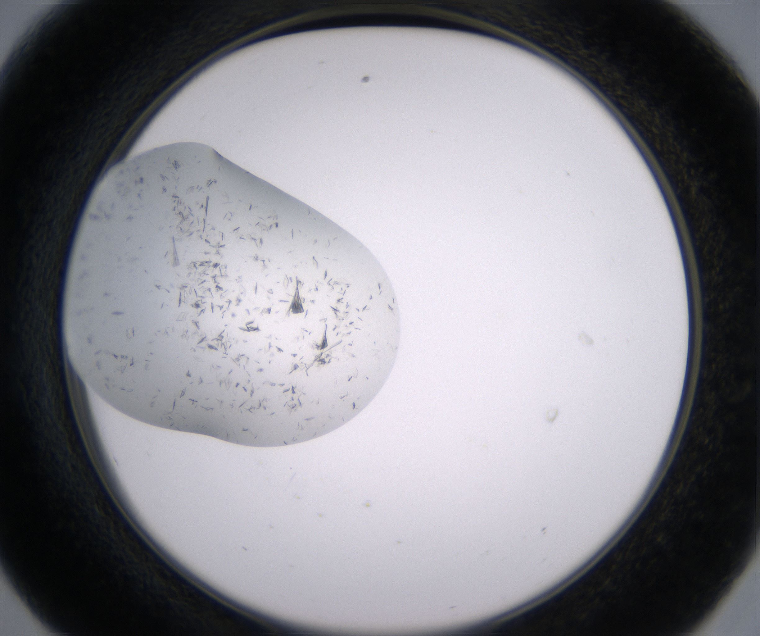 E8_HighResolution_Crystal_2.jpg