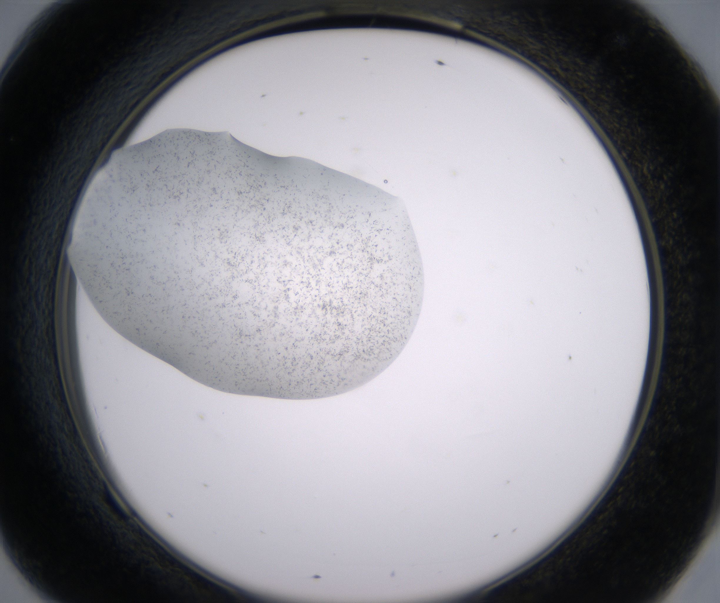 F9_HighResolution_Crystal_2.jpg
