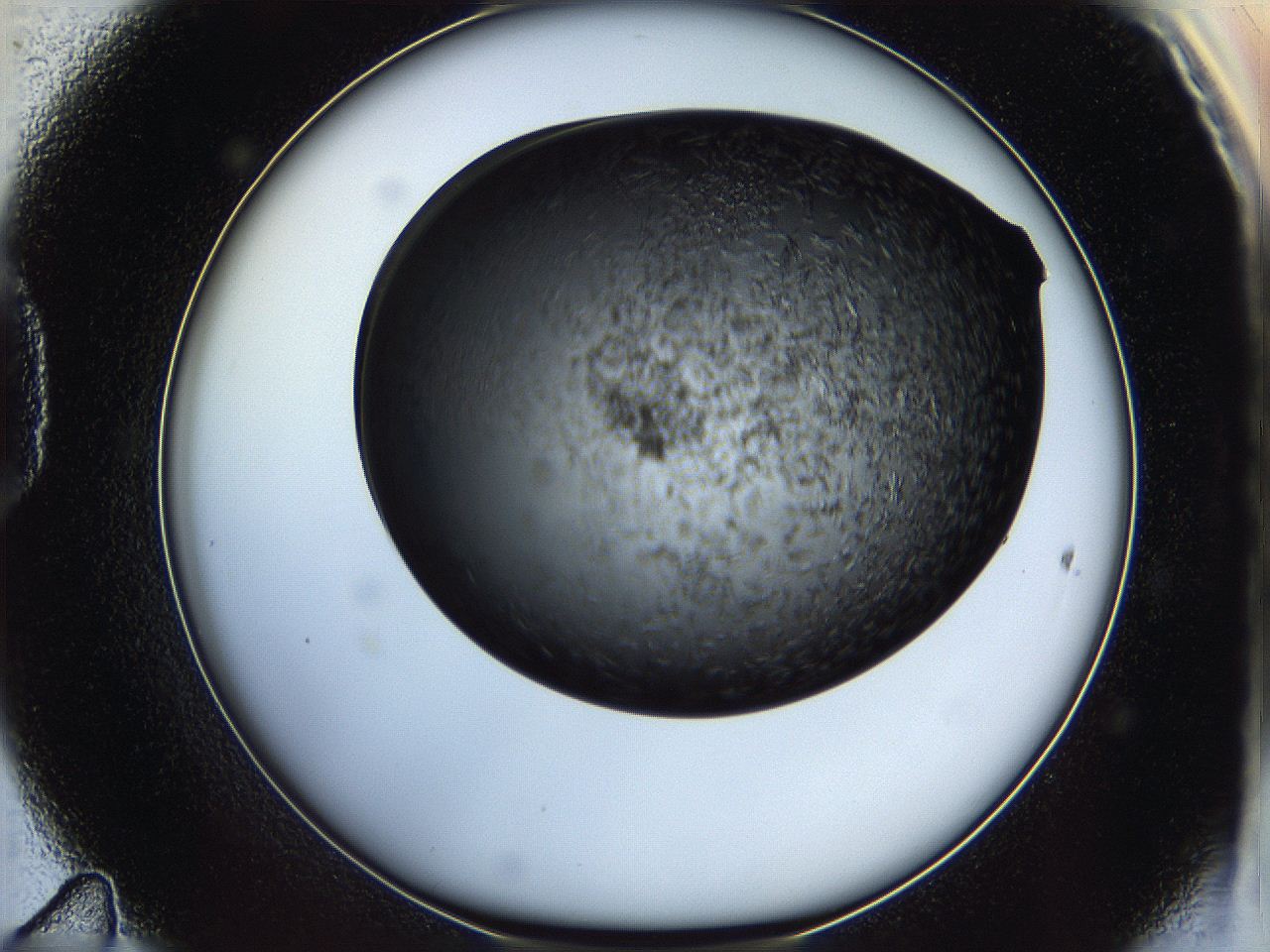 05it_D11_ImagerDefaults_6.jpg