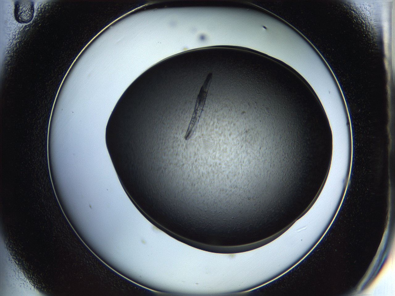 05it_D11_ImagerDefaults_8.jpg