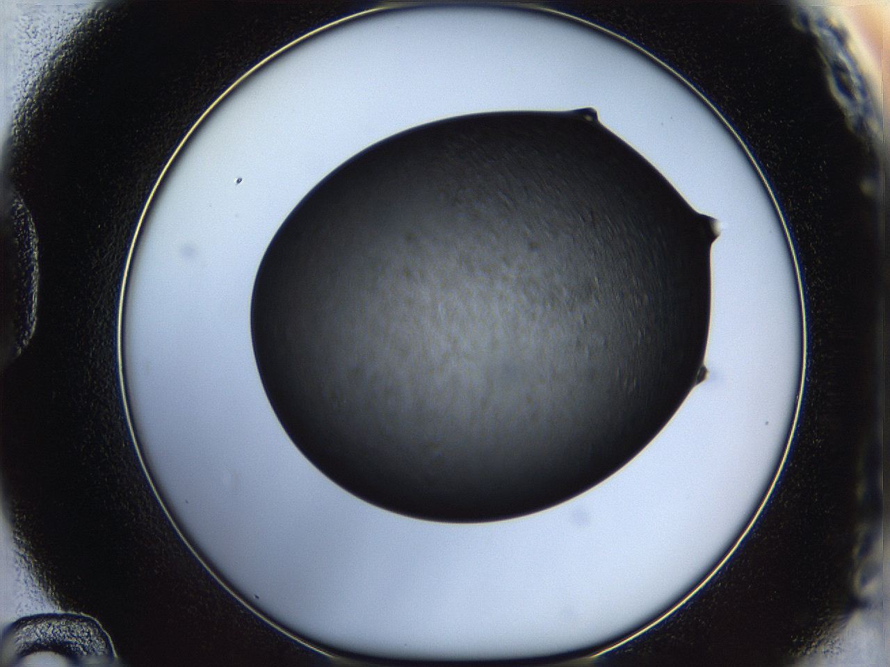05it_D12_ImagerDefaults_6.jpg