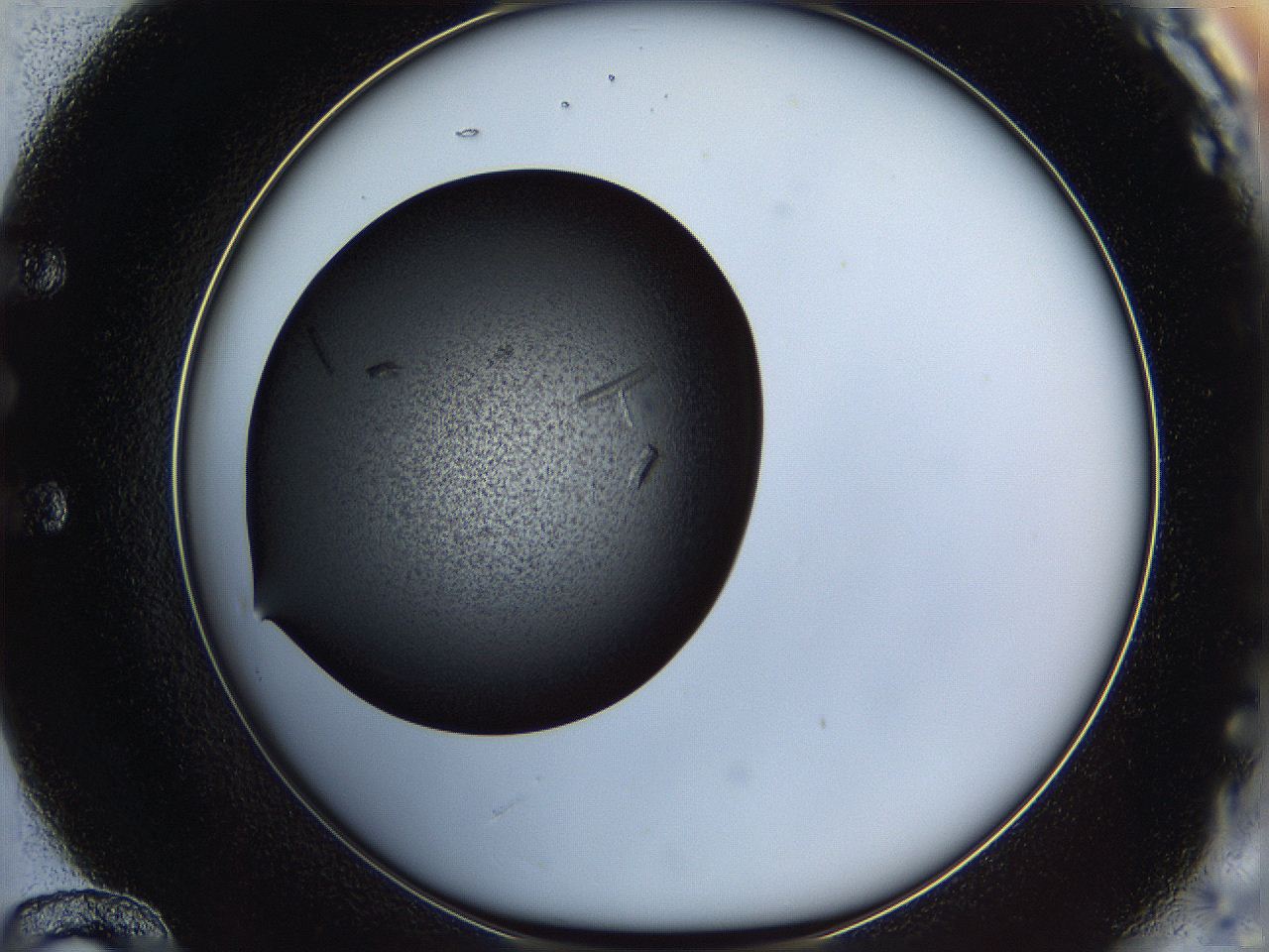 05it_E12_ImagerDefaults_8.jpg