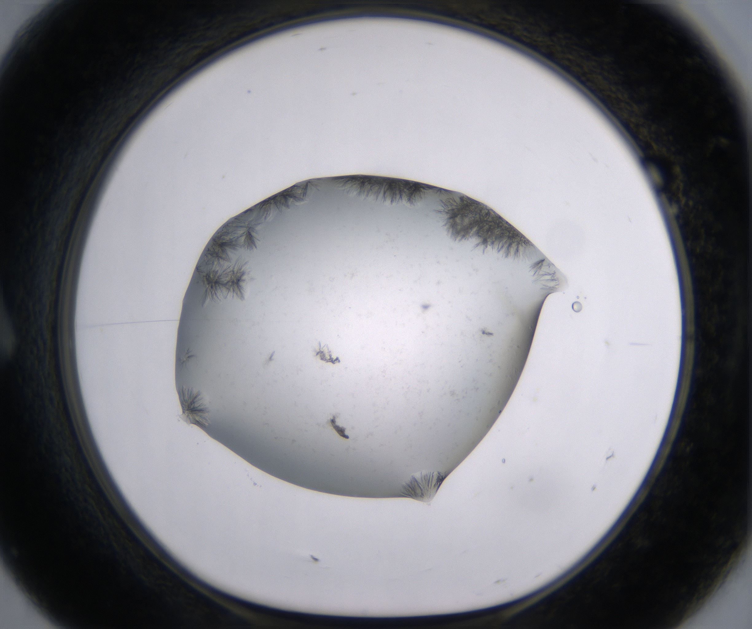 A7_HighResolution_Crystal_1.jpg