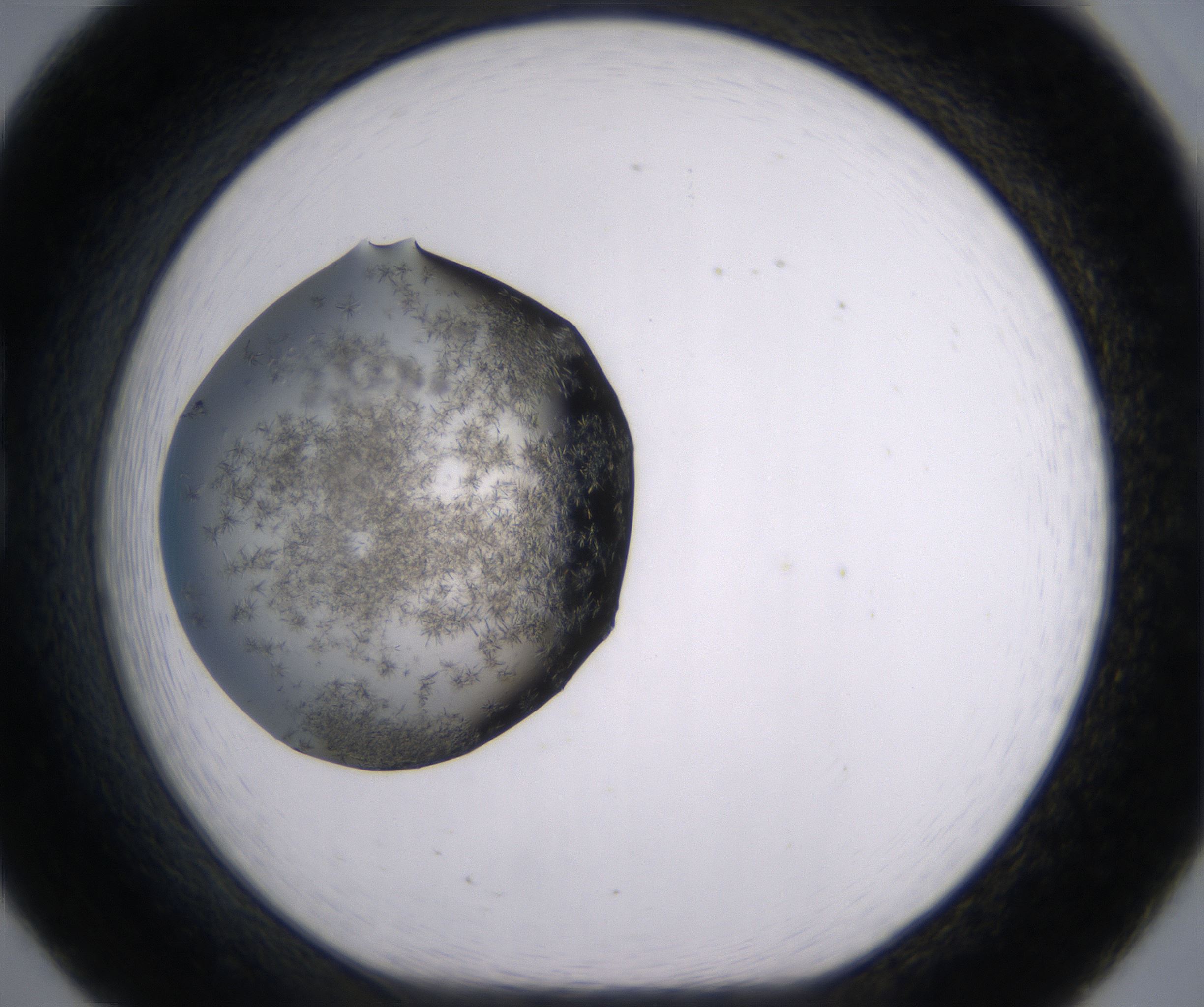 B8_HighResolution_Crystal_1.jpg