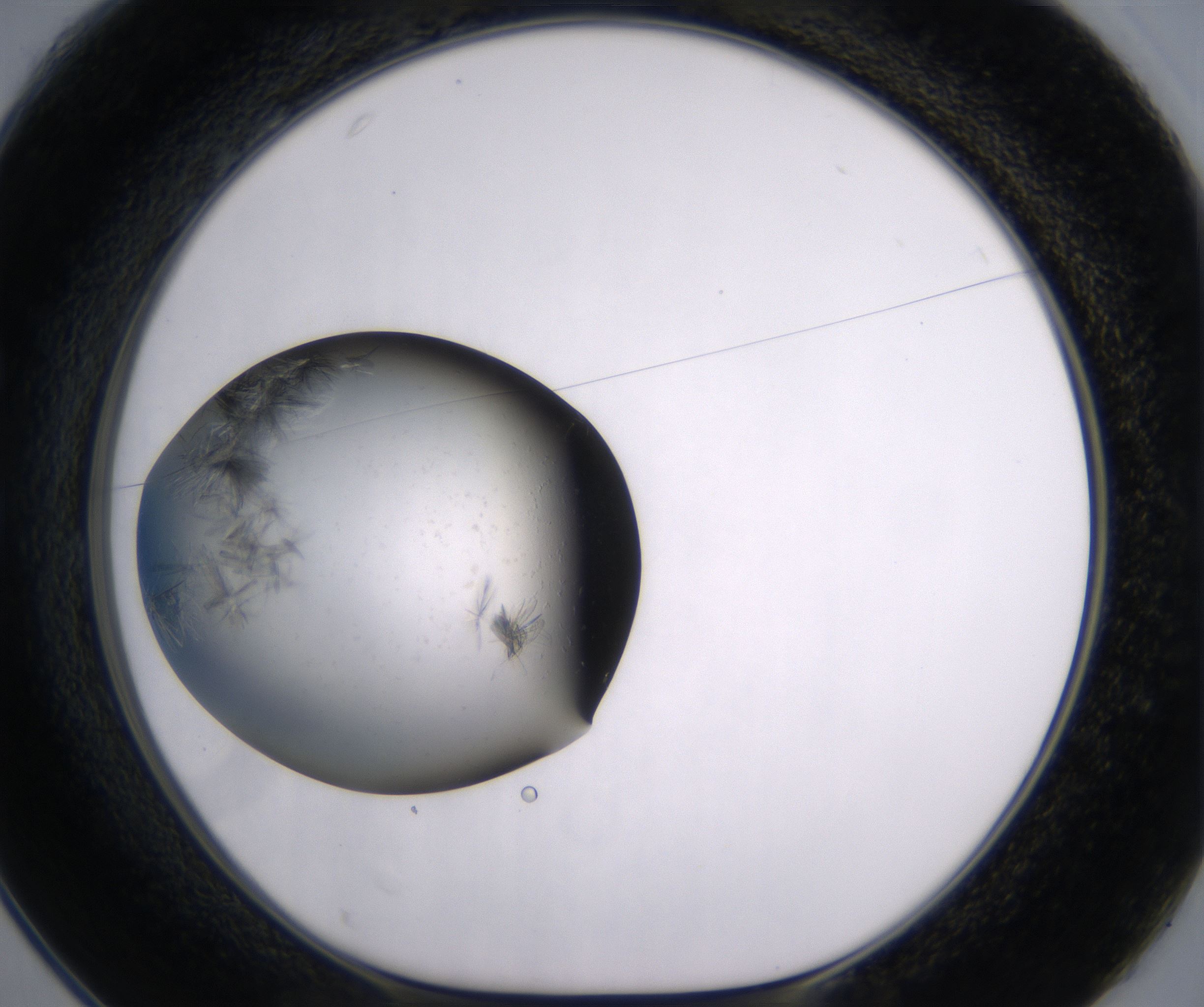 C1_HighResolution_Crystal_1.jpg