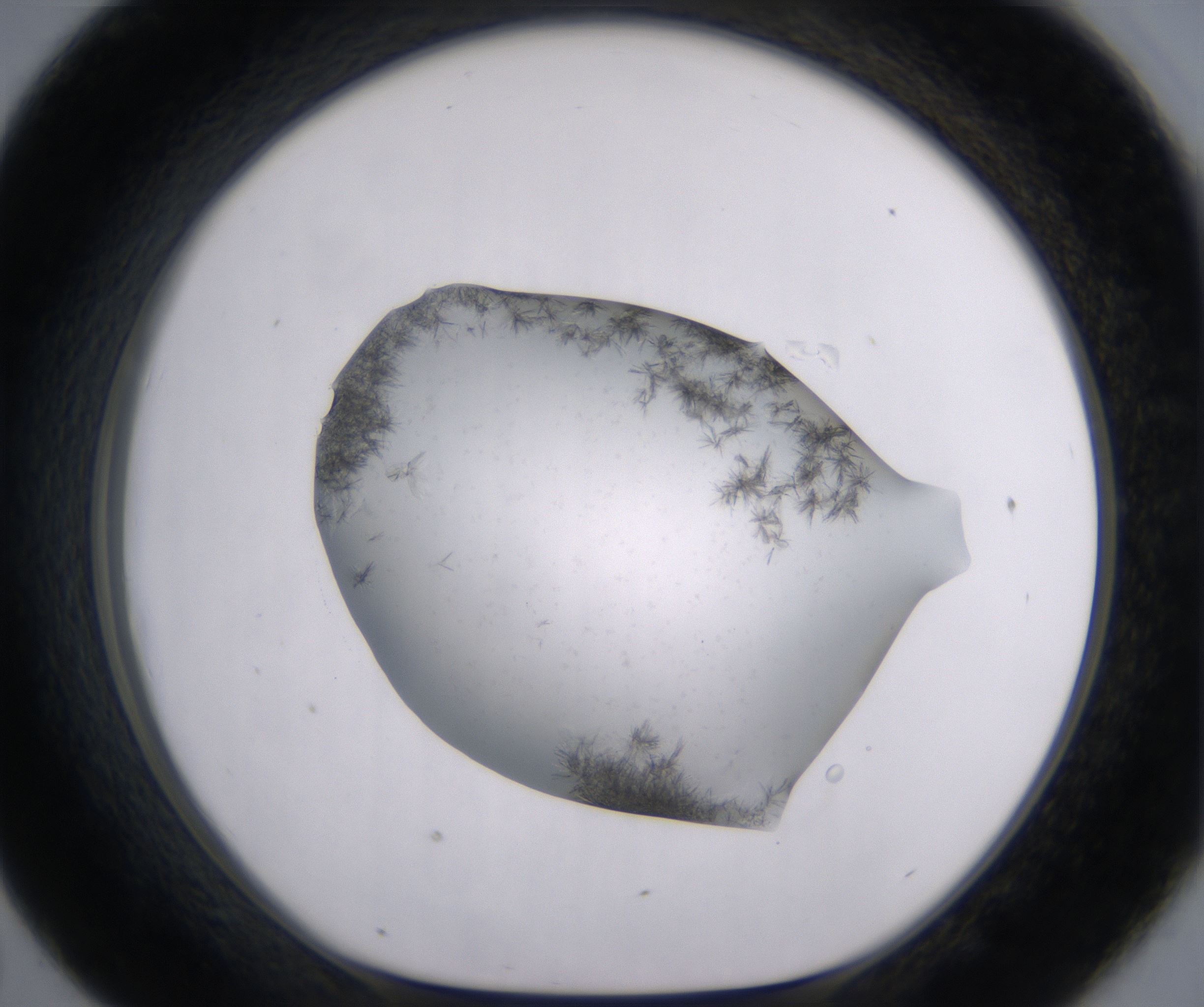 D7_HighResolution_Crystal_1.jpg