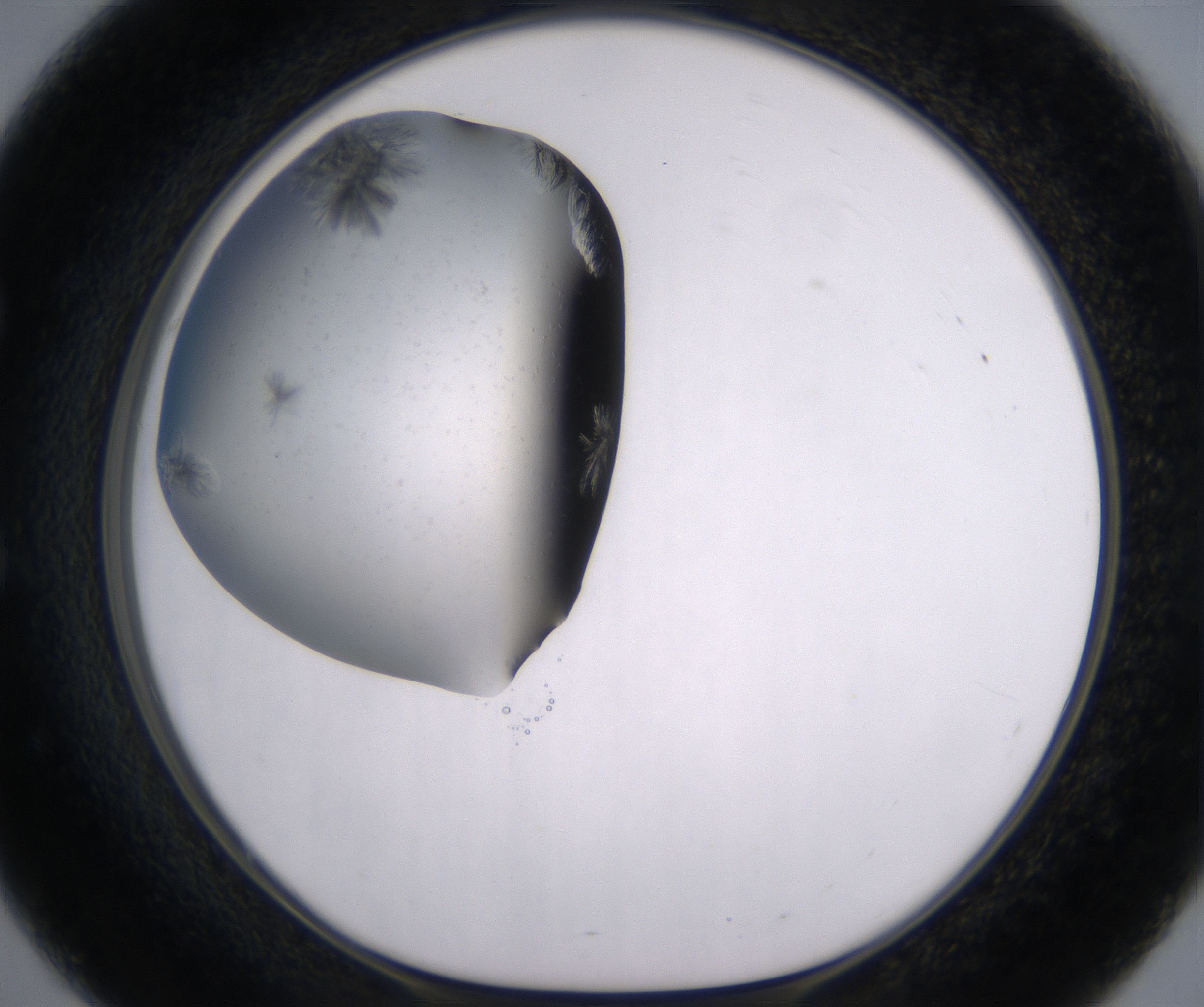 E3_HighResolution_Crystal_1.jpg