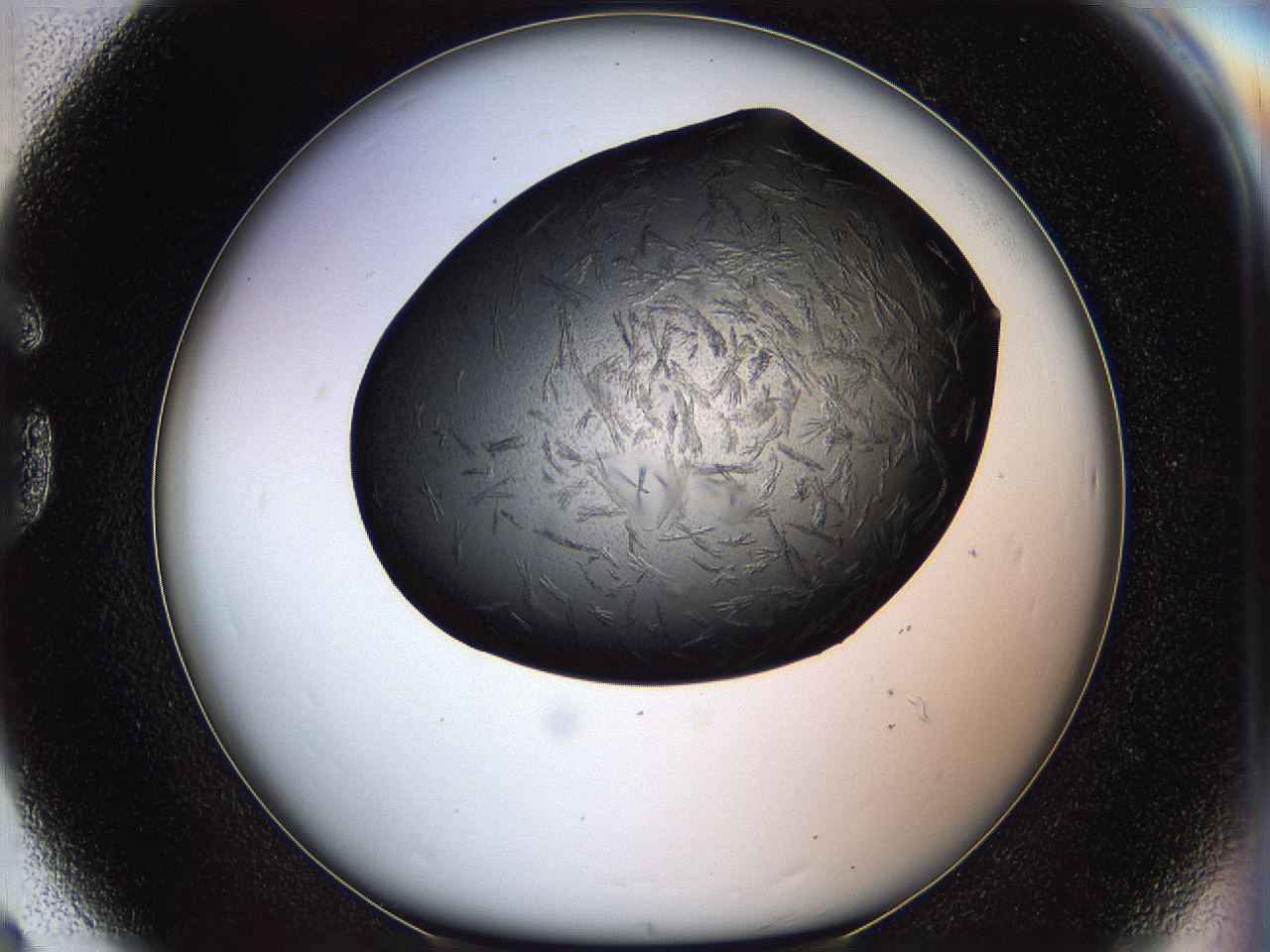 05it_G8_ImagerDefaults_6.jpg