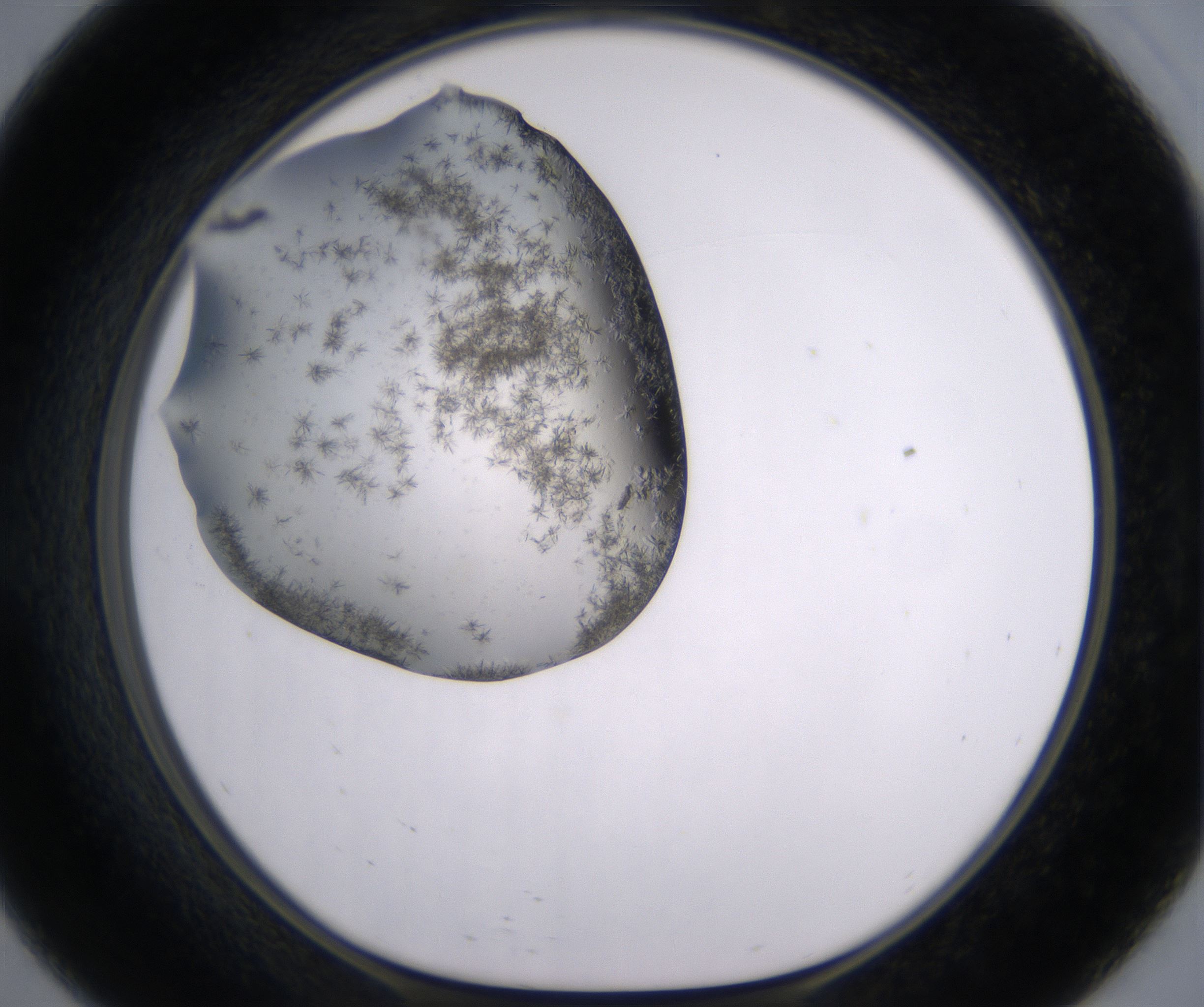 E9_HighResolution_Crystal_1.jpg