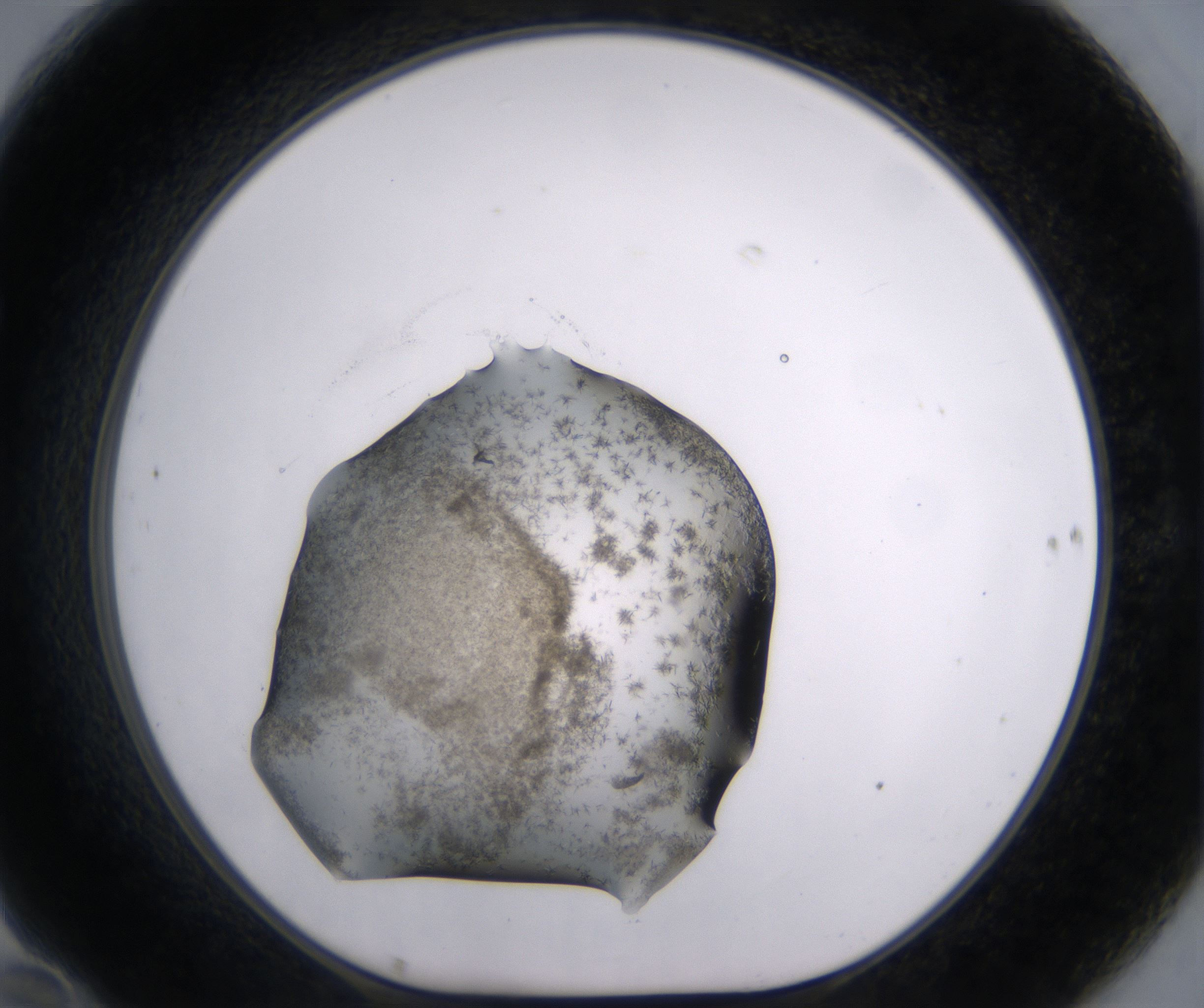 F10_HighResolution_Crystal_1.jpg