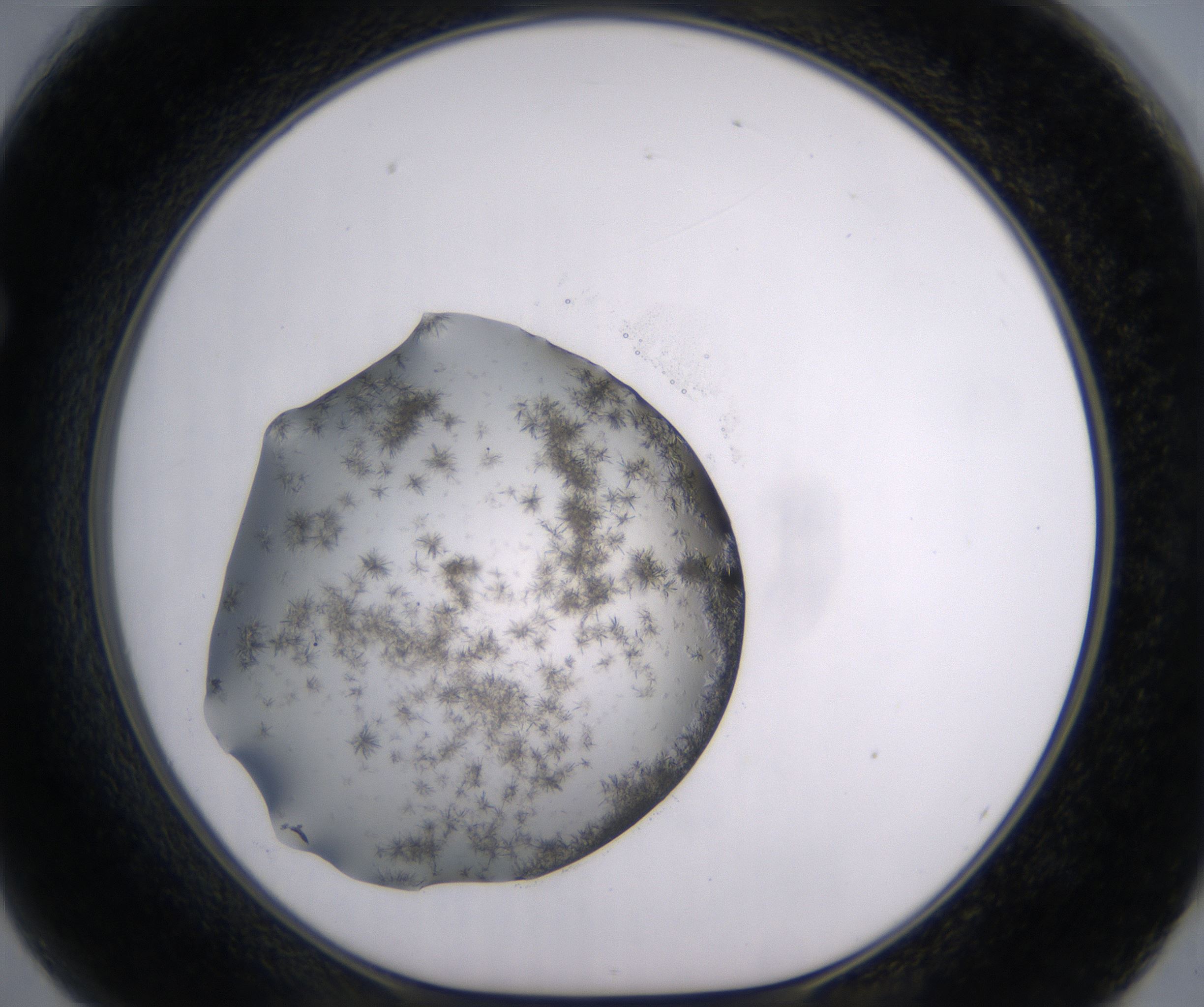F2_HighResolution_Crystal_1.jpg