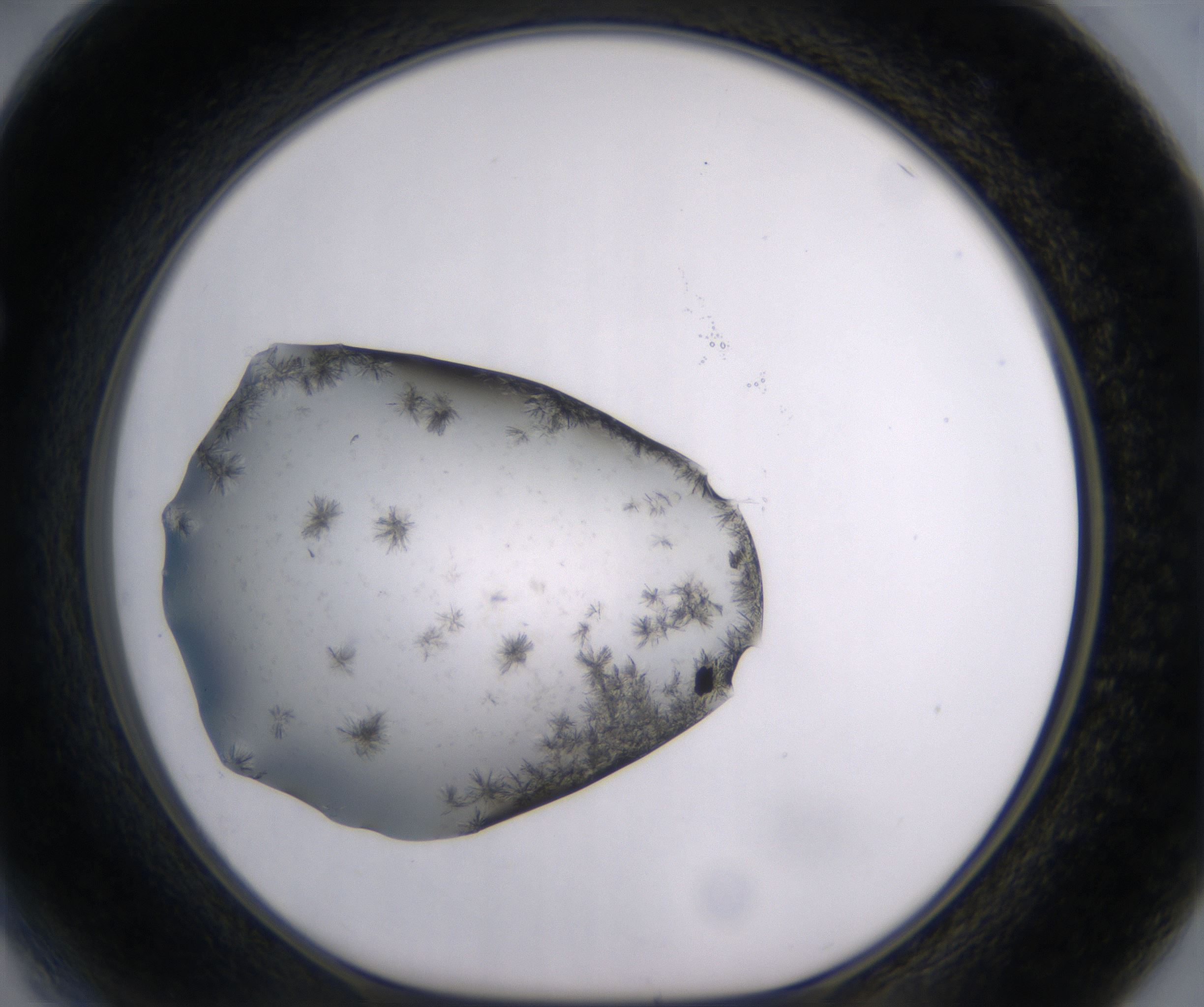 F4_HighResolution_Crystal_1.jpg