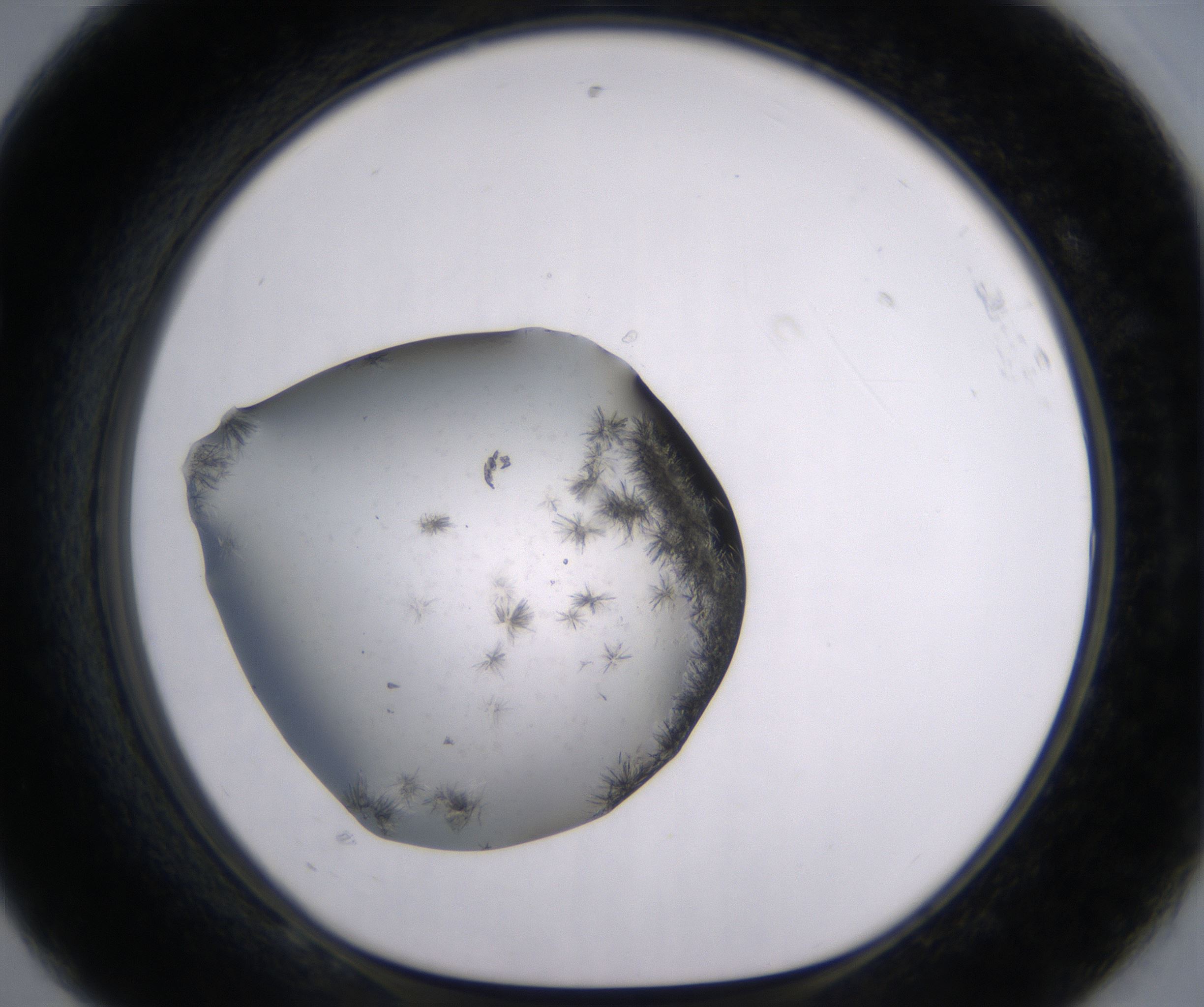 F8_HighResolution_Crystal_1.jpg