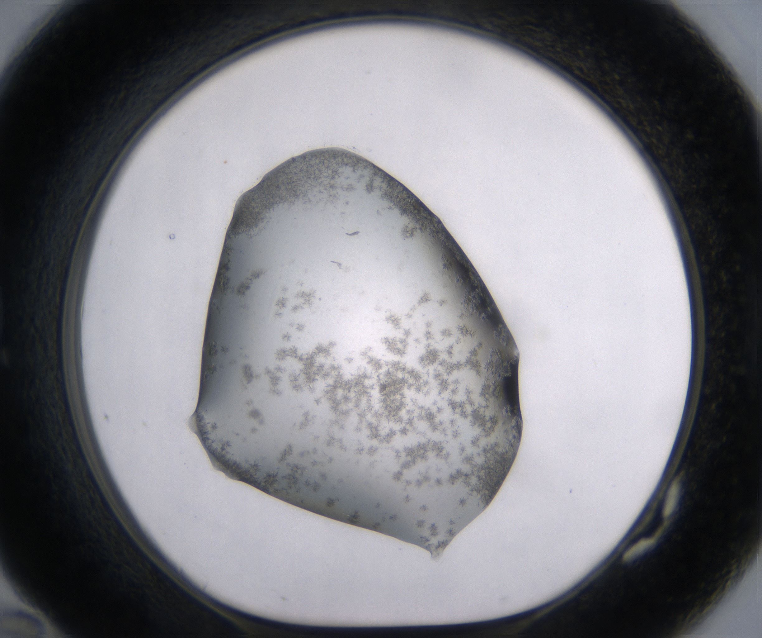 G10_HighResolution_Crystal_1.jpg