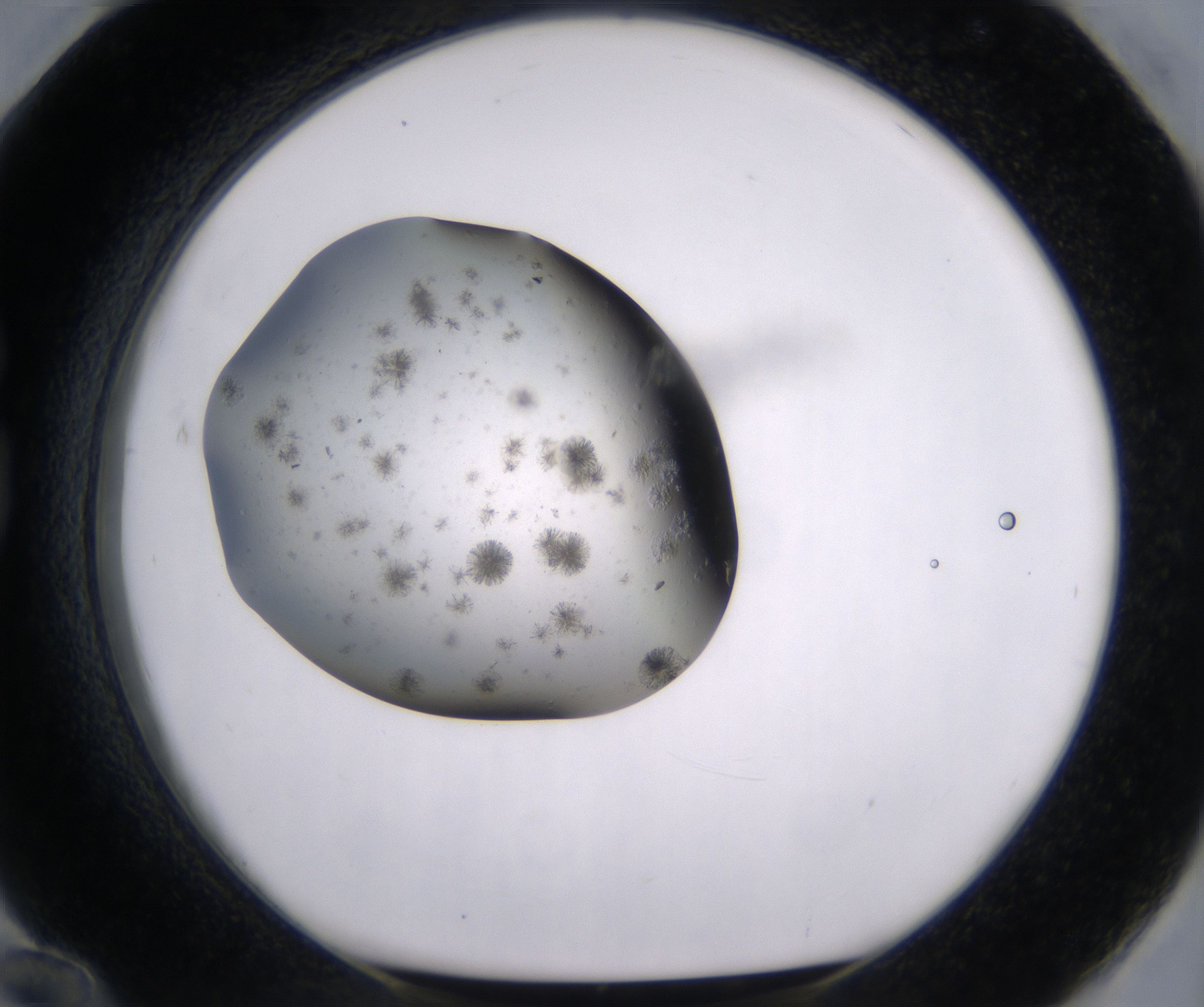 G12_HighResolution_Crystal_1.jpg