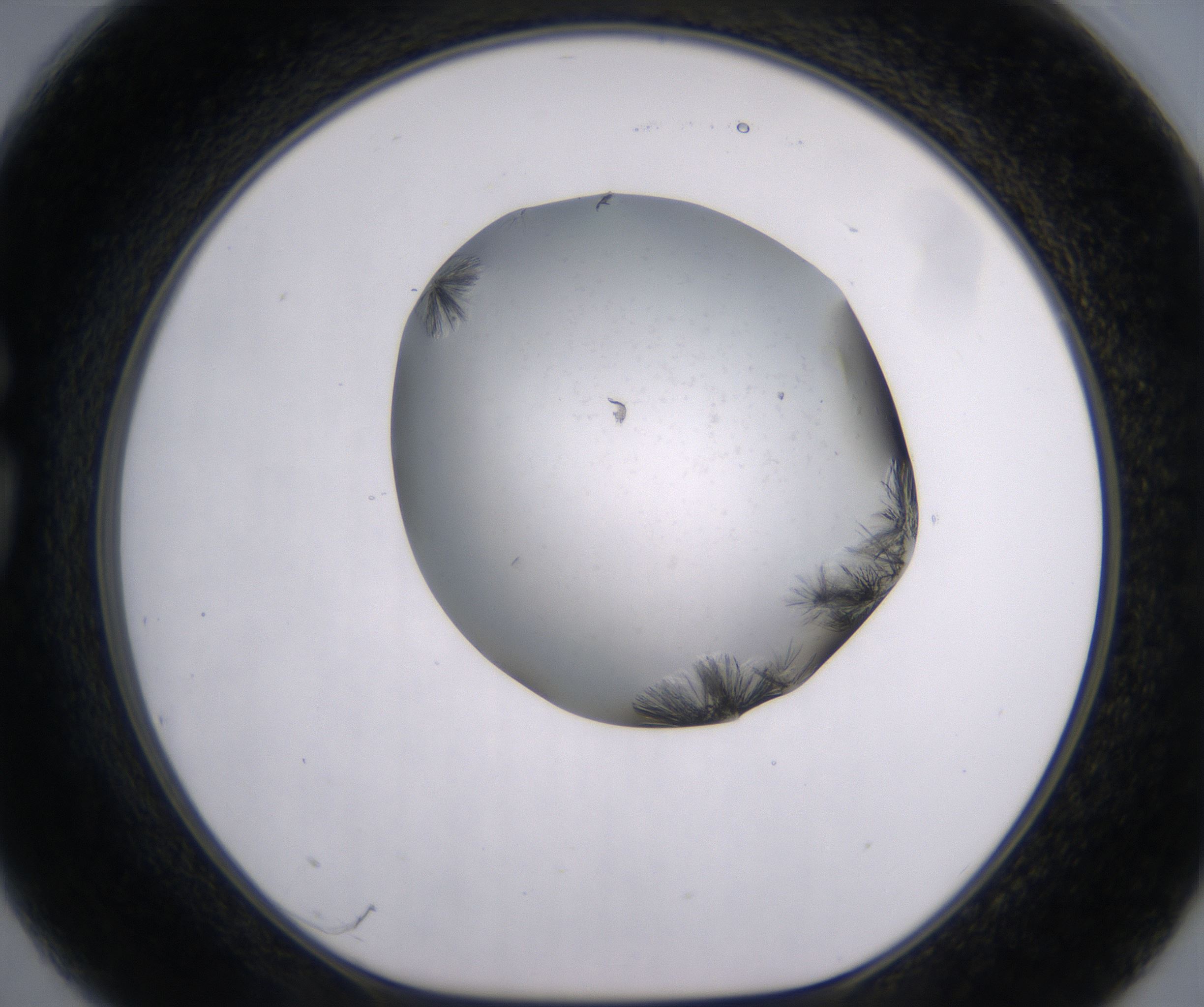 G3_HighResolution_Crystal_1.jpg