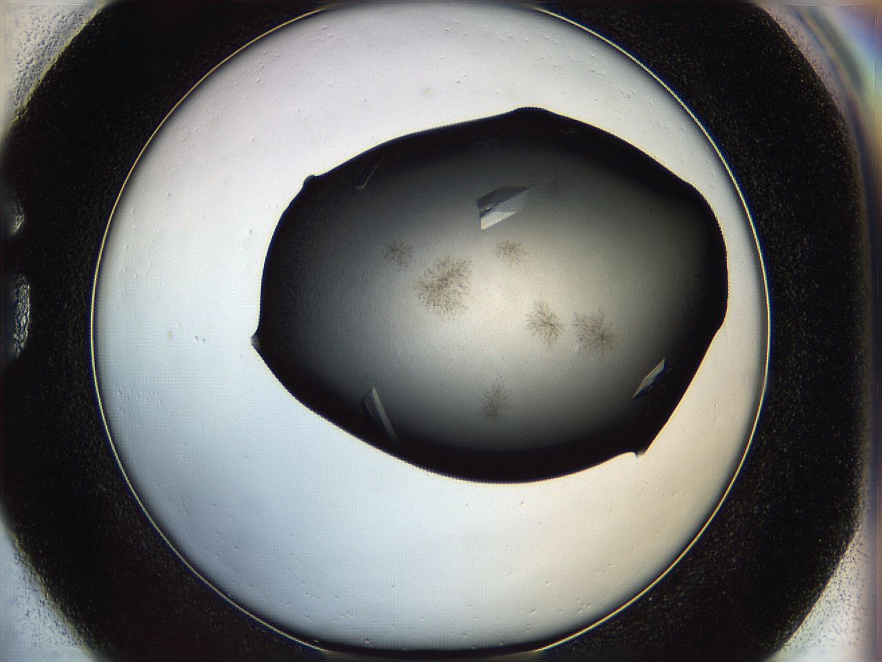 05it_G1_ImagerDefaults_9.jpg