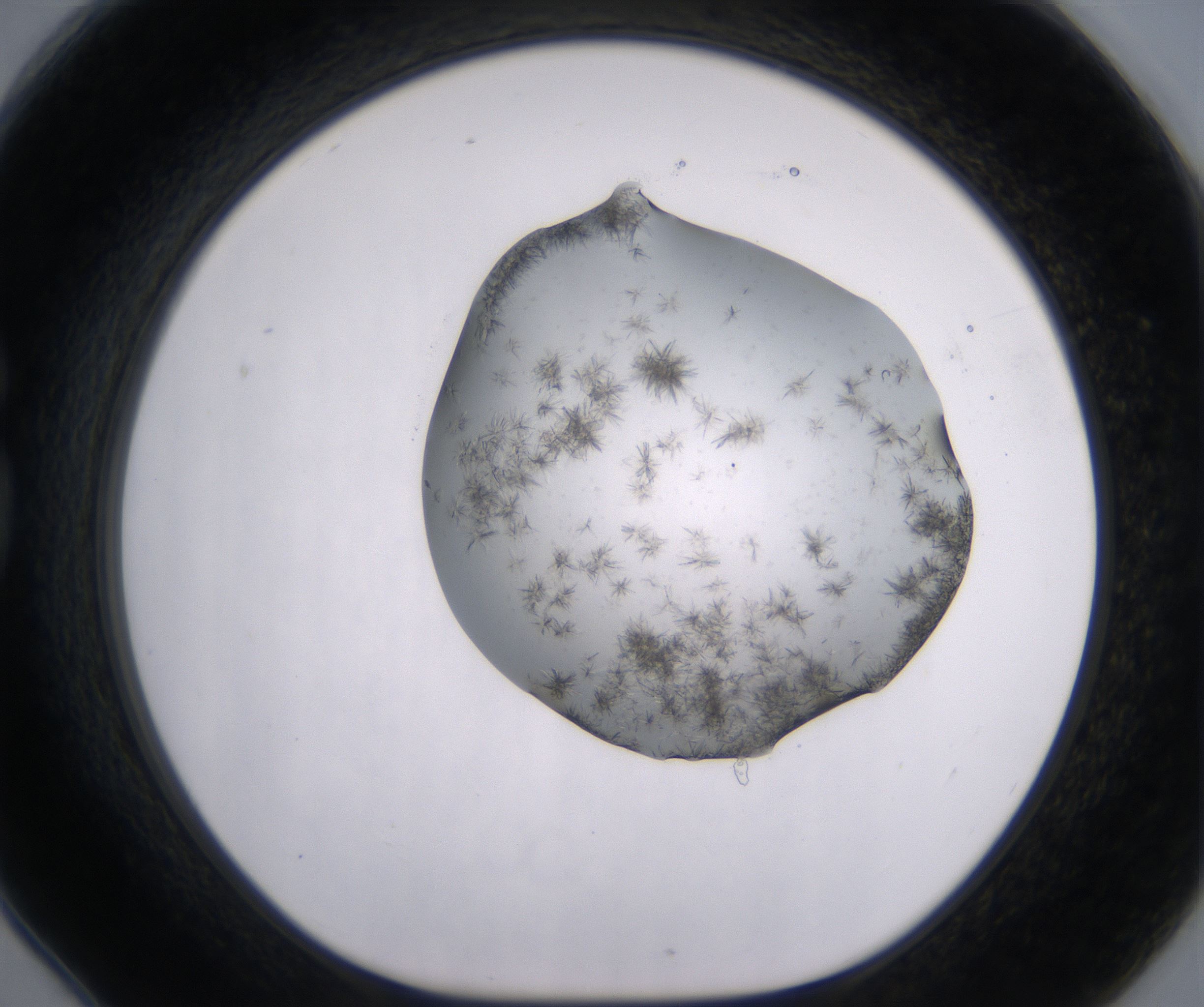G6_HighResolution_Crystal_1.jpg