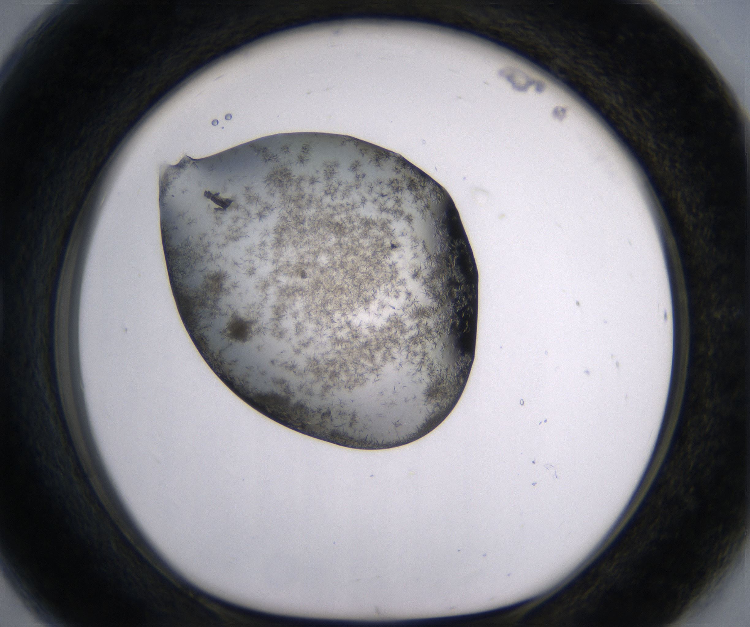 G8_HighResolution_Crystal_1.jpg