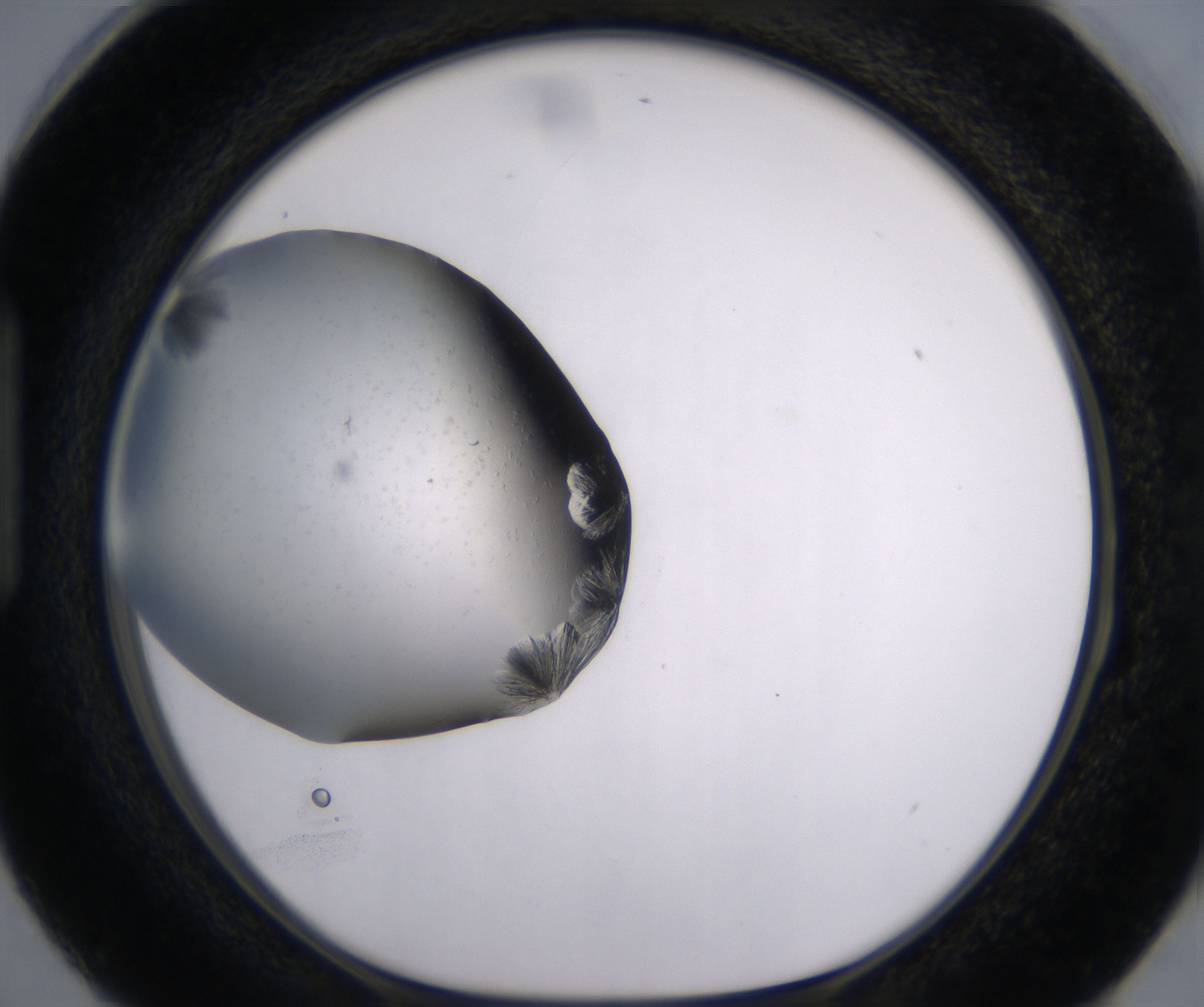 H3_HighResolution_Crystal_1.jpg