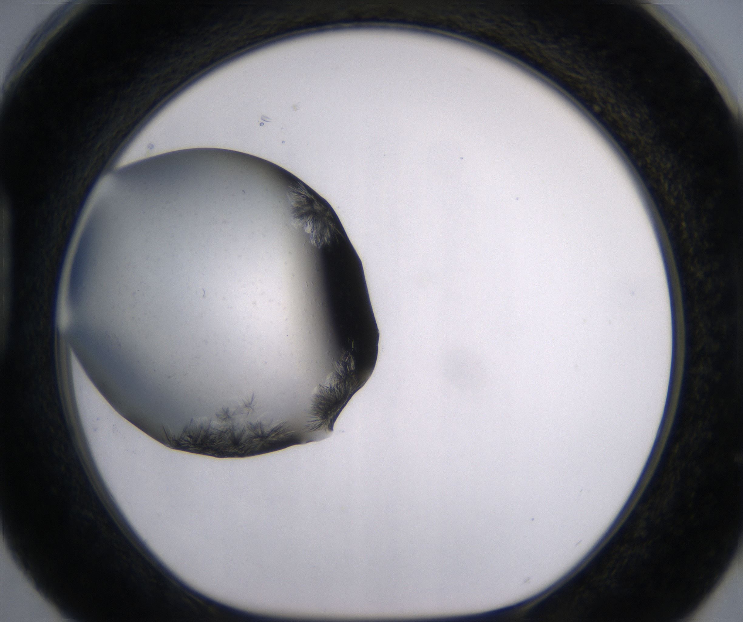 H4_HighResolution_Crystal_1.jpg
