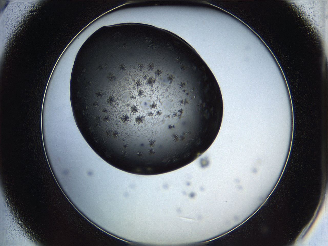 05iu_B9_ImagerDefaults_6.jpg
