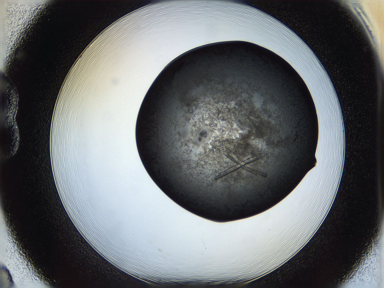 05iu_B8_ImagerDefaults_8.jpg