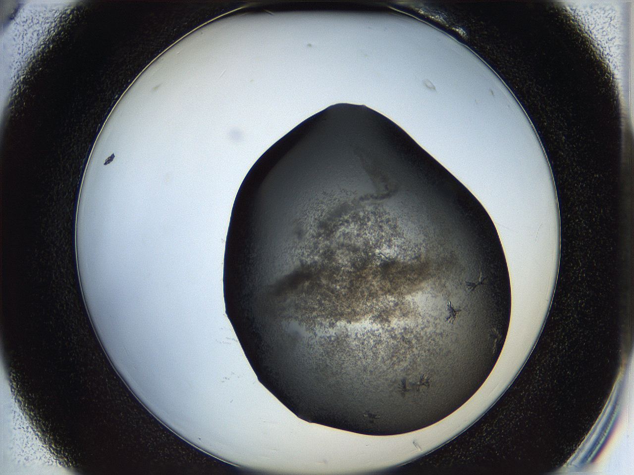 05iu_B6_ImagerDefaults_6.jpg