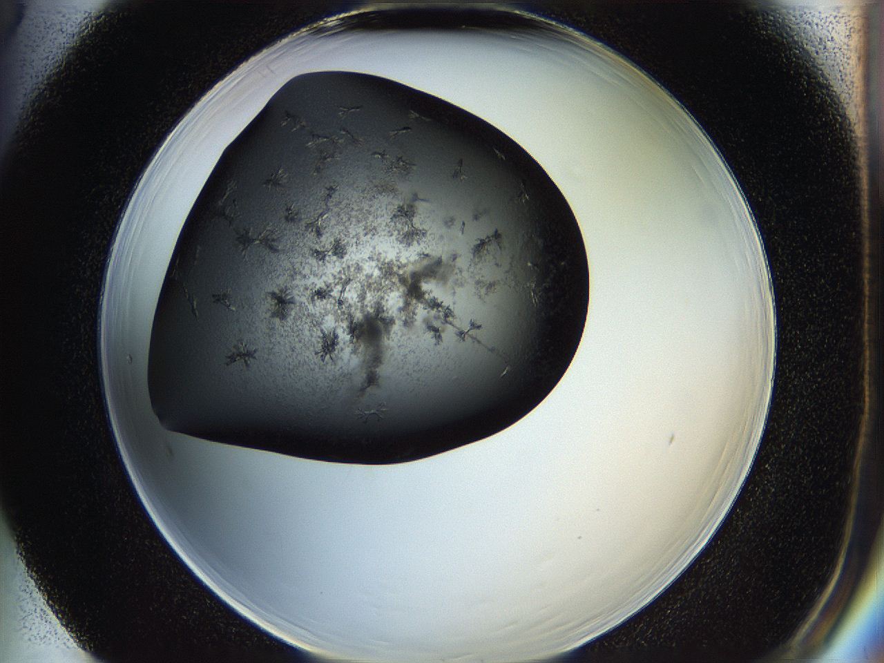 05iu_F5_ImagerDefaults_6.jpg