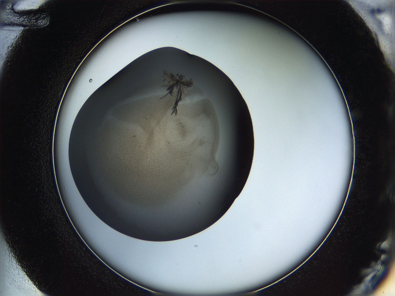 05iu_F12_ImagerDefaults_6.jpg