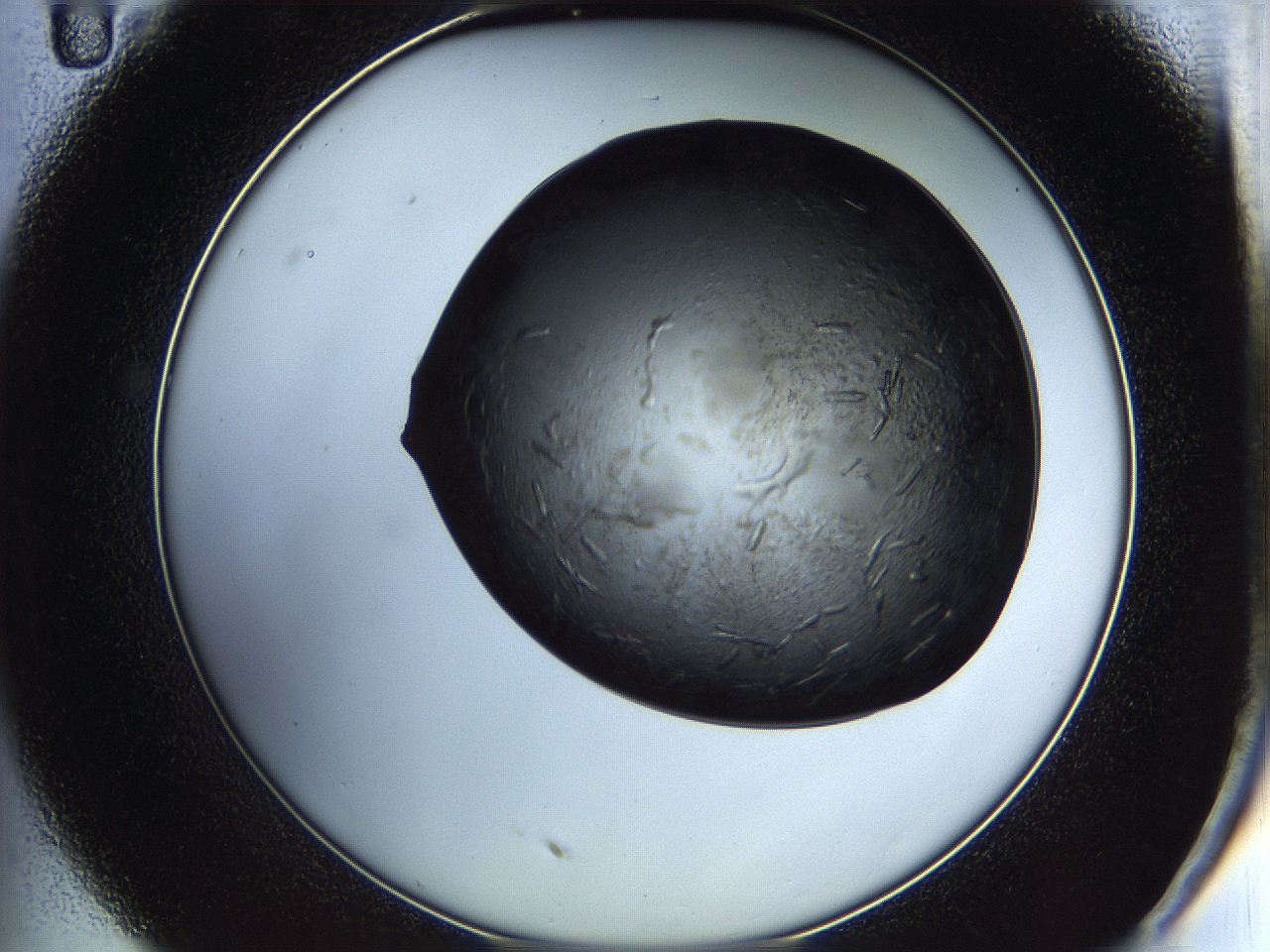 05iu_C11_ImagerDefaults_6.jpg