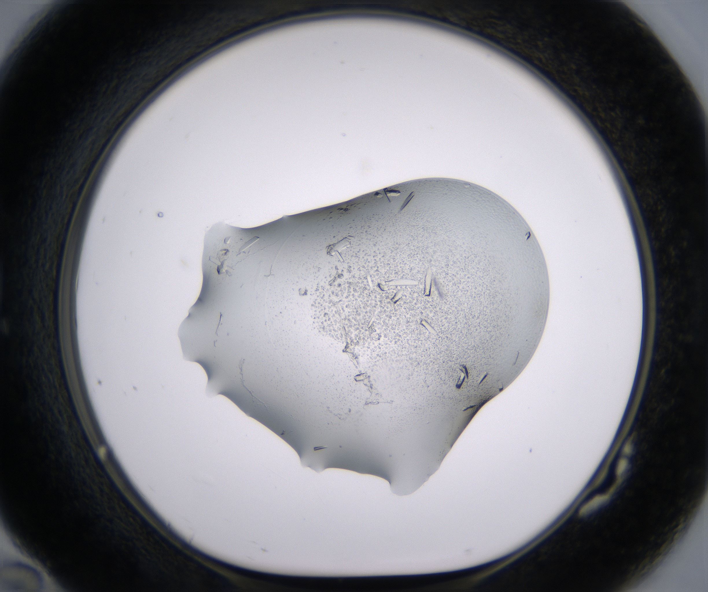 G10_HighResolution_Crystal_1.jpg