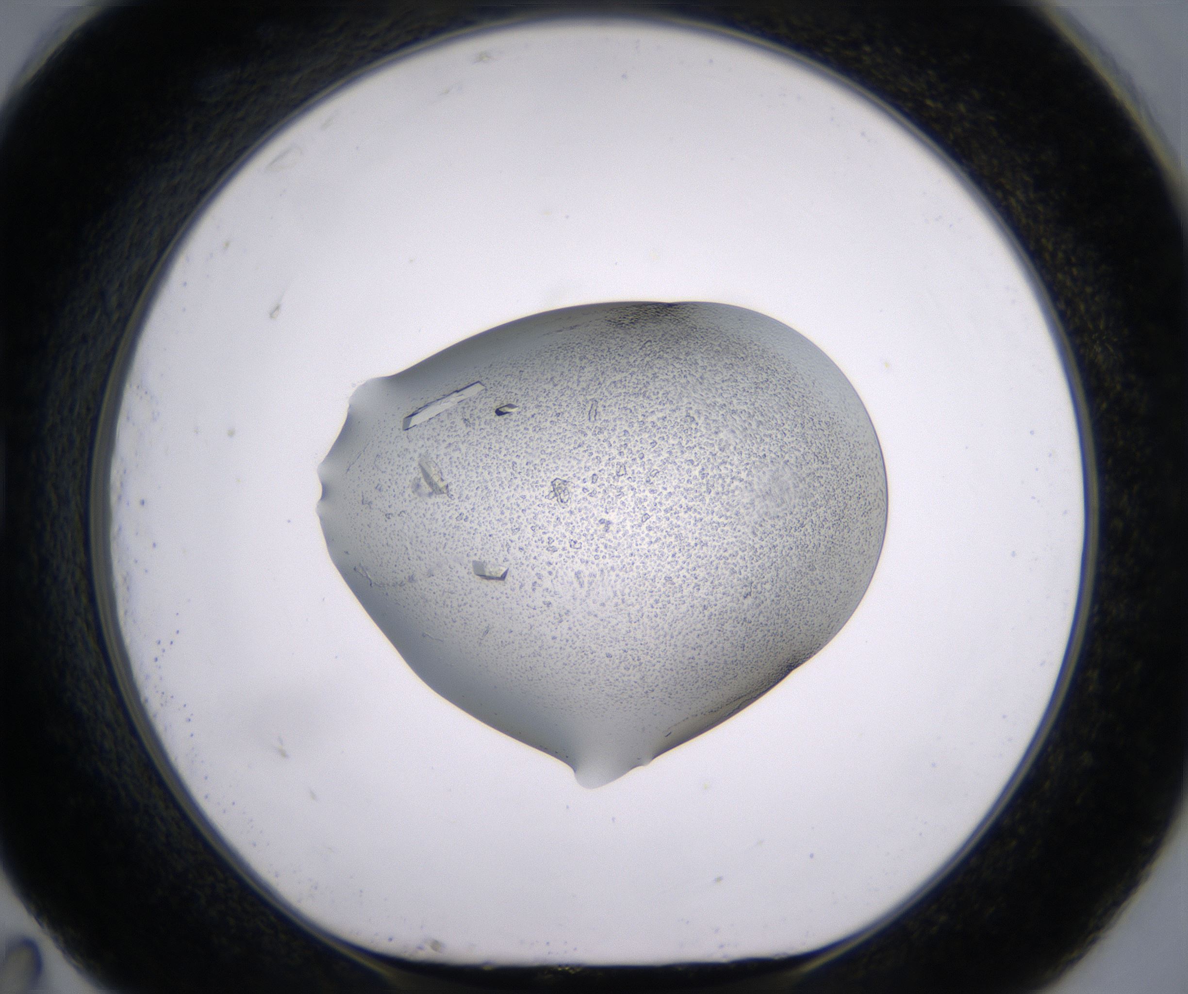 G11_HighResolution_Crystal_1.jpg