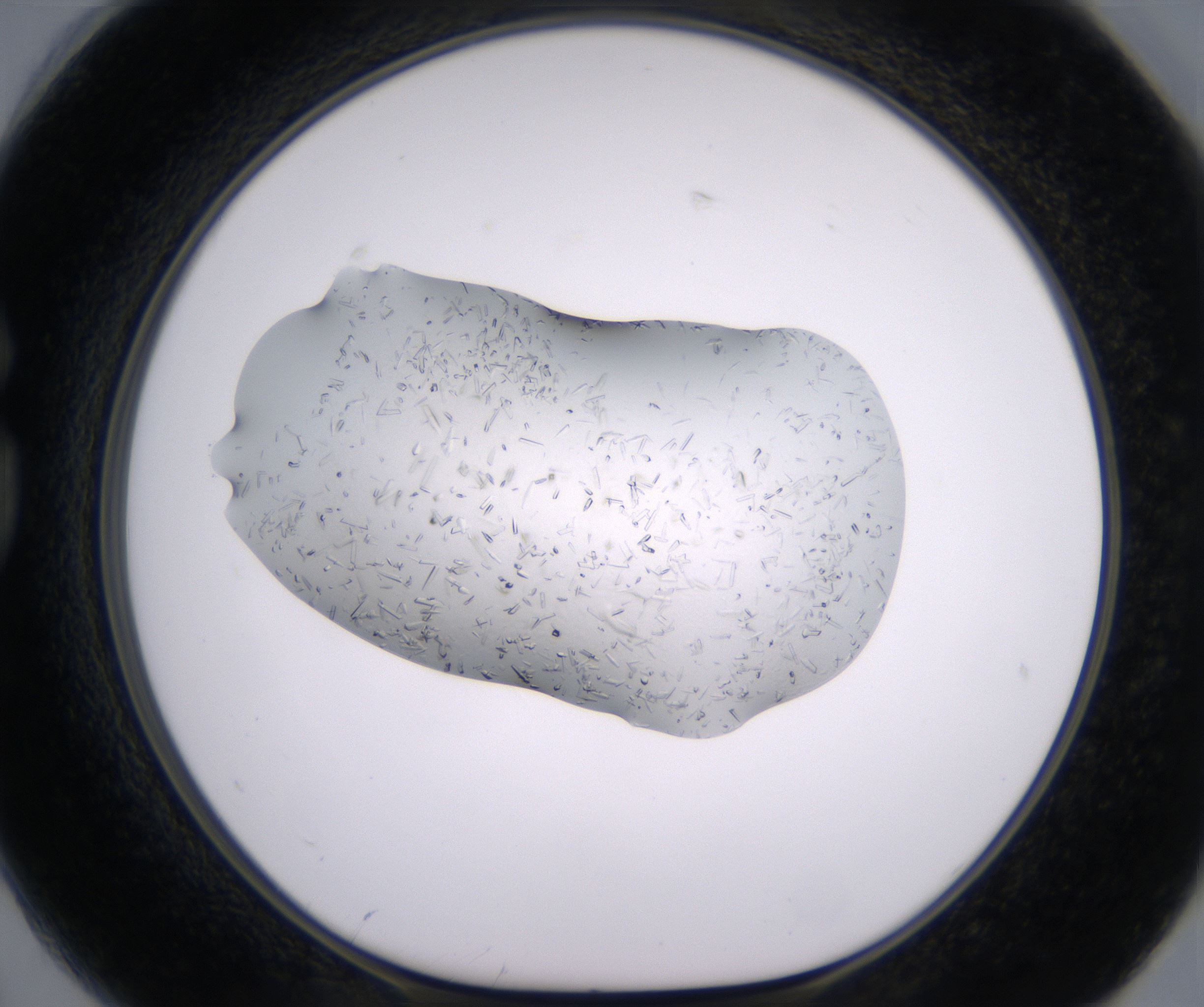 G2_HighResolution_Crystal_1.jpg