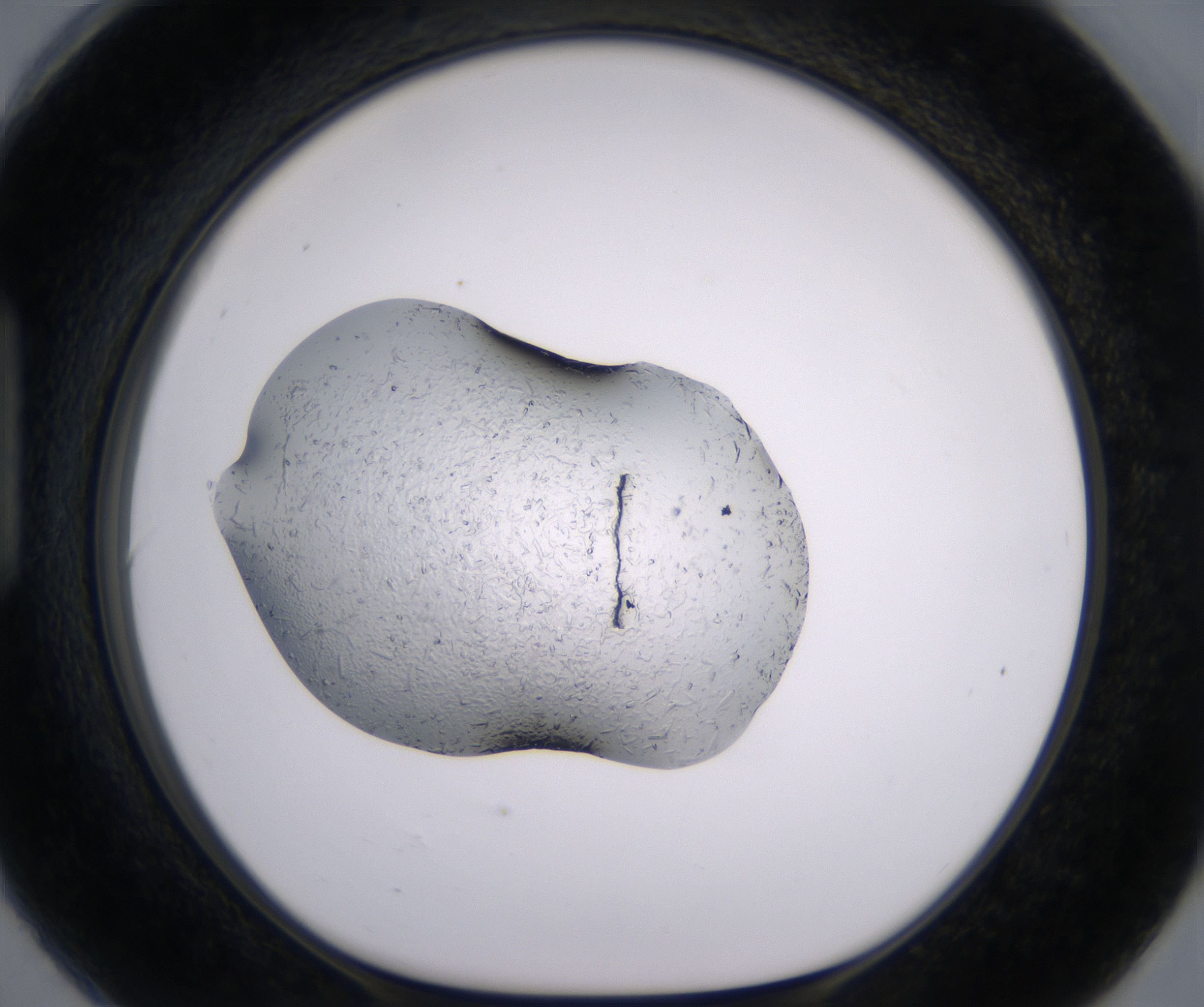 H6_HighResolution_Crystal_1.jpg