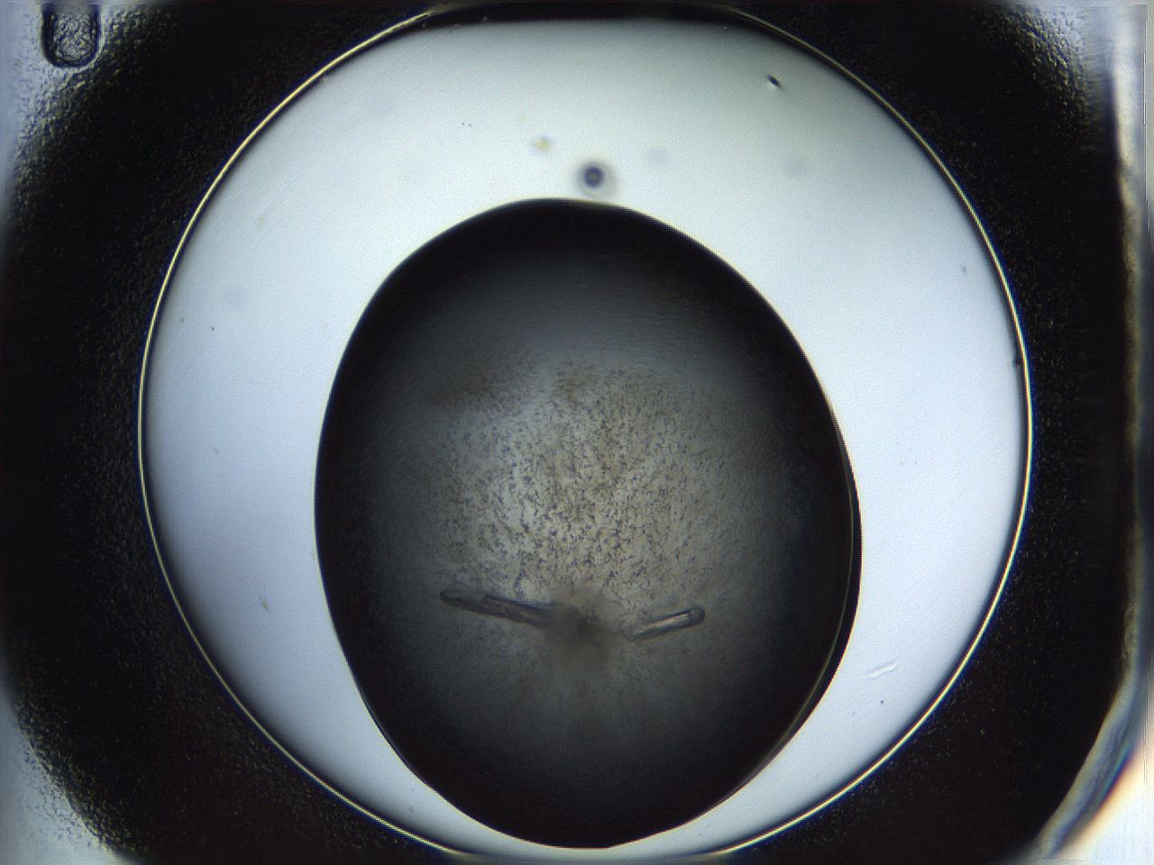 05iu_D11_ImagerDefaults_9.jpg