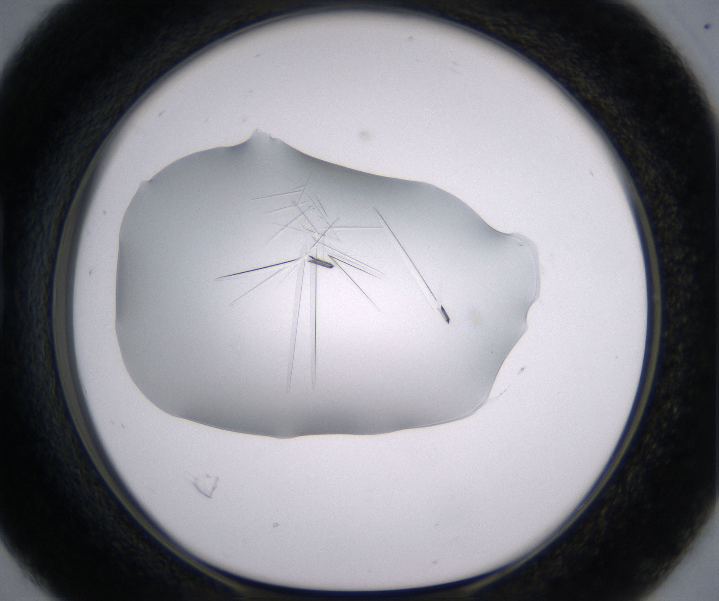 B4_HighResolution_Crystal_1.jpg