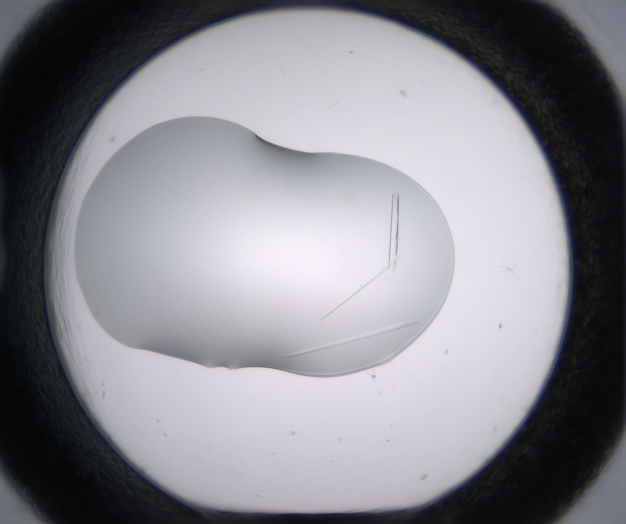 B6_HighResolution_Crystal_1.jpg