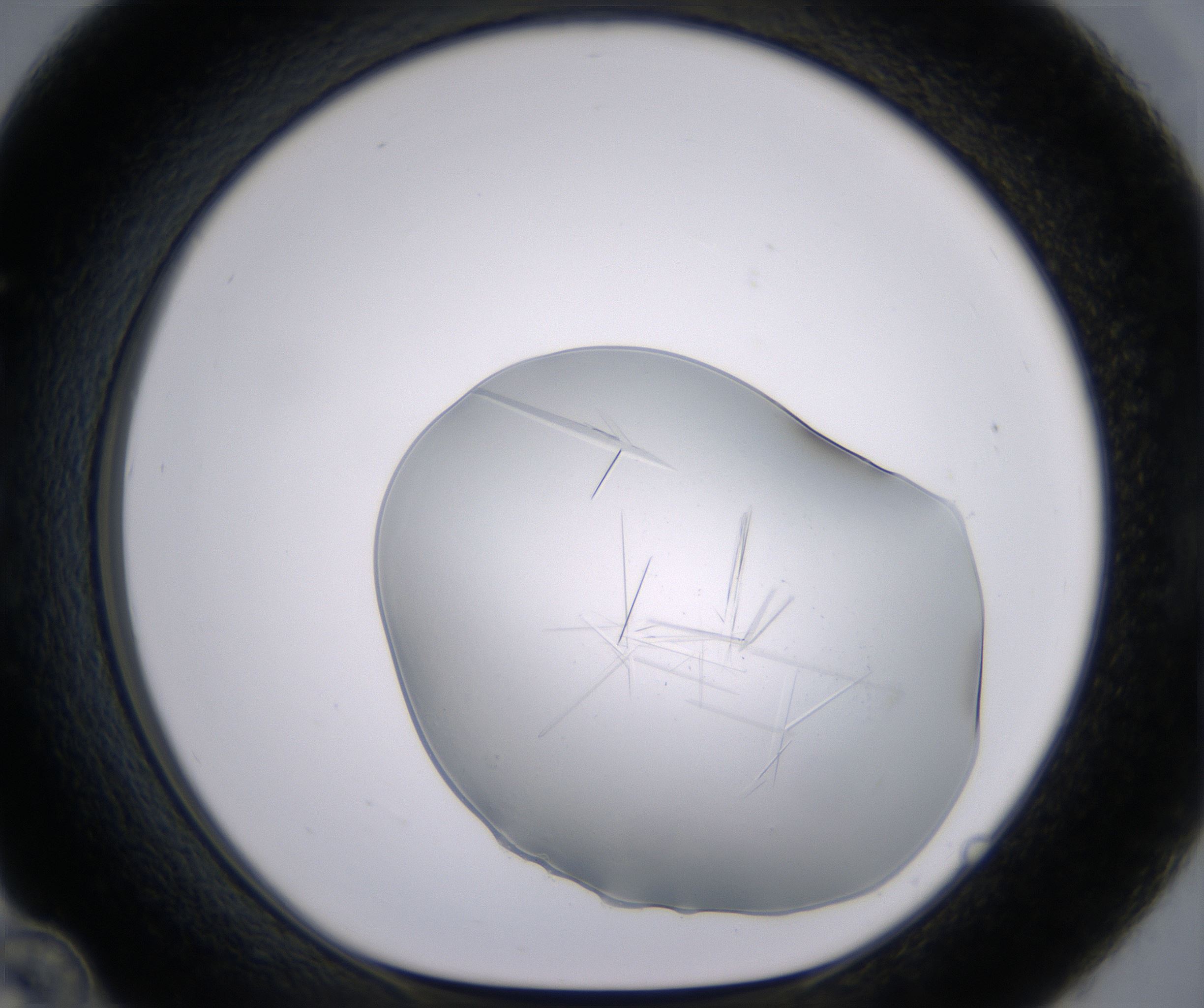 C12_HighResolution_Crystal_1.jpg