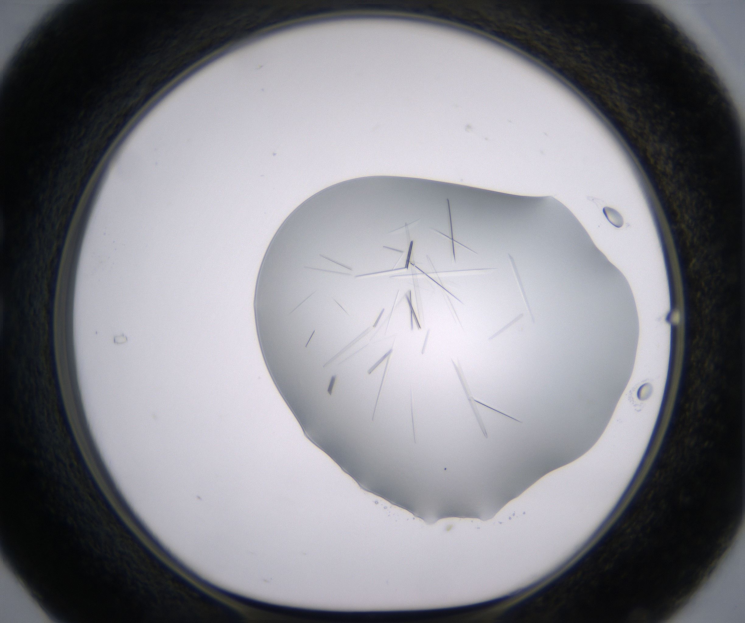 C5_HighResolution_Crystal_1.jpg