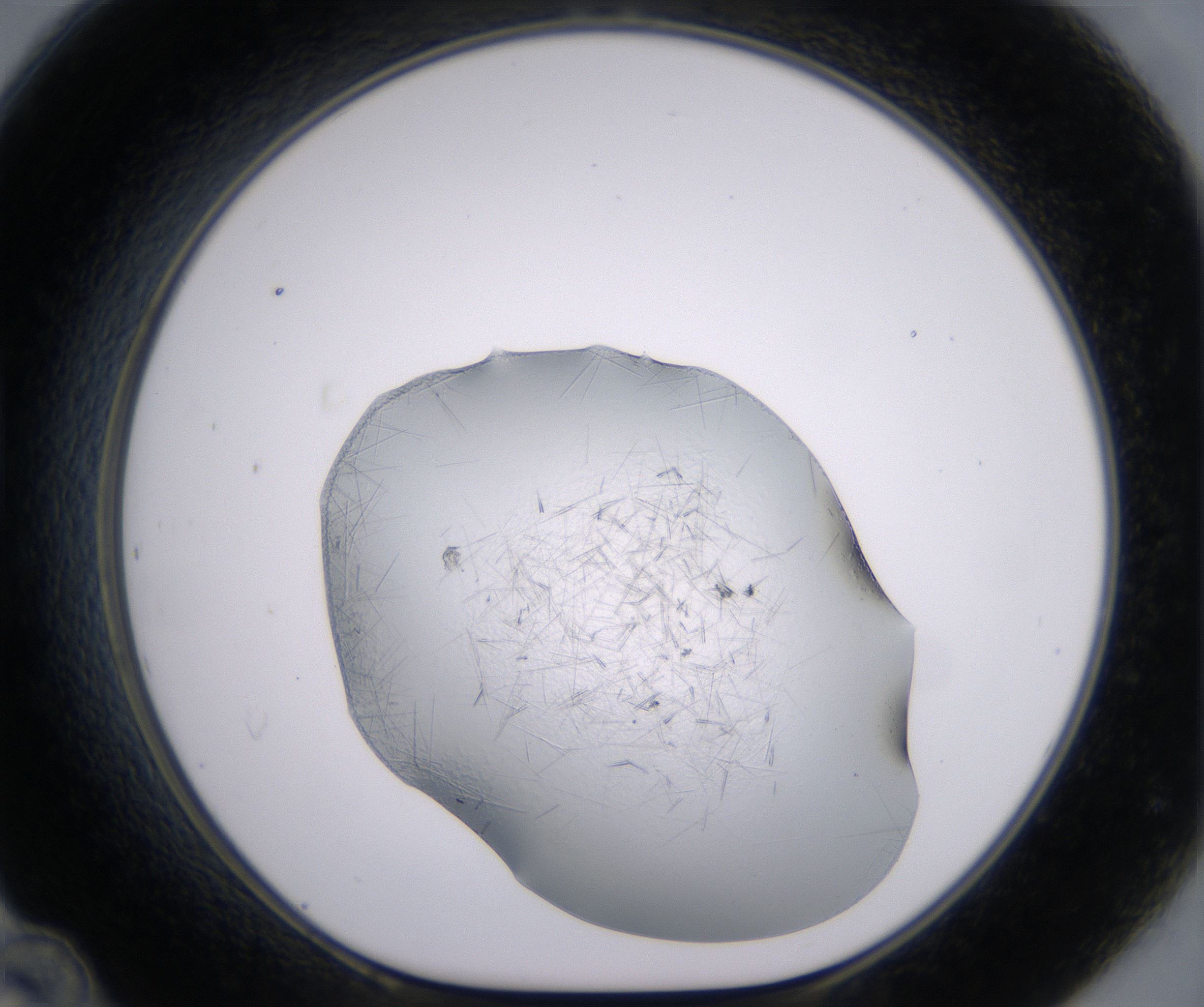 D12_HighResolution_Crystal_1.jpg
