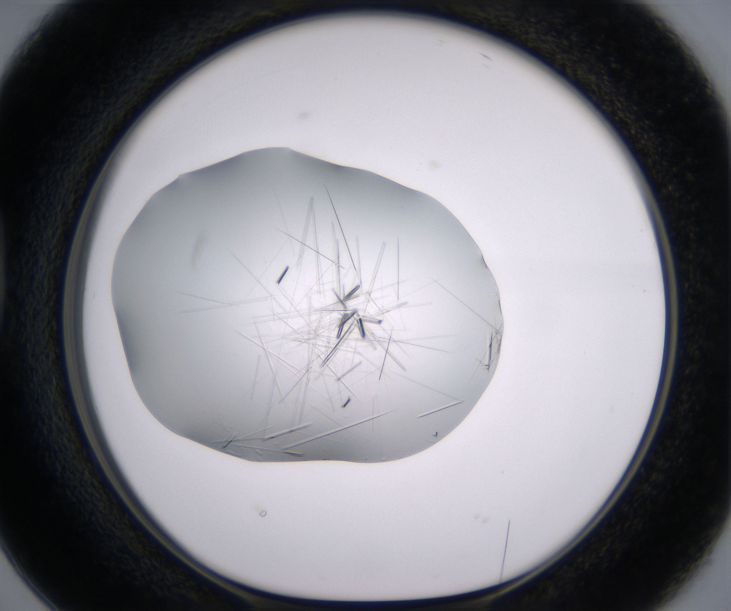 D2_HighResolution_Crystal_1.jpg