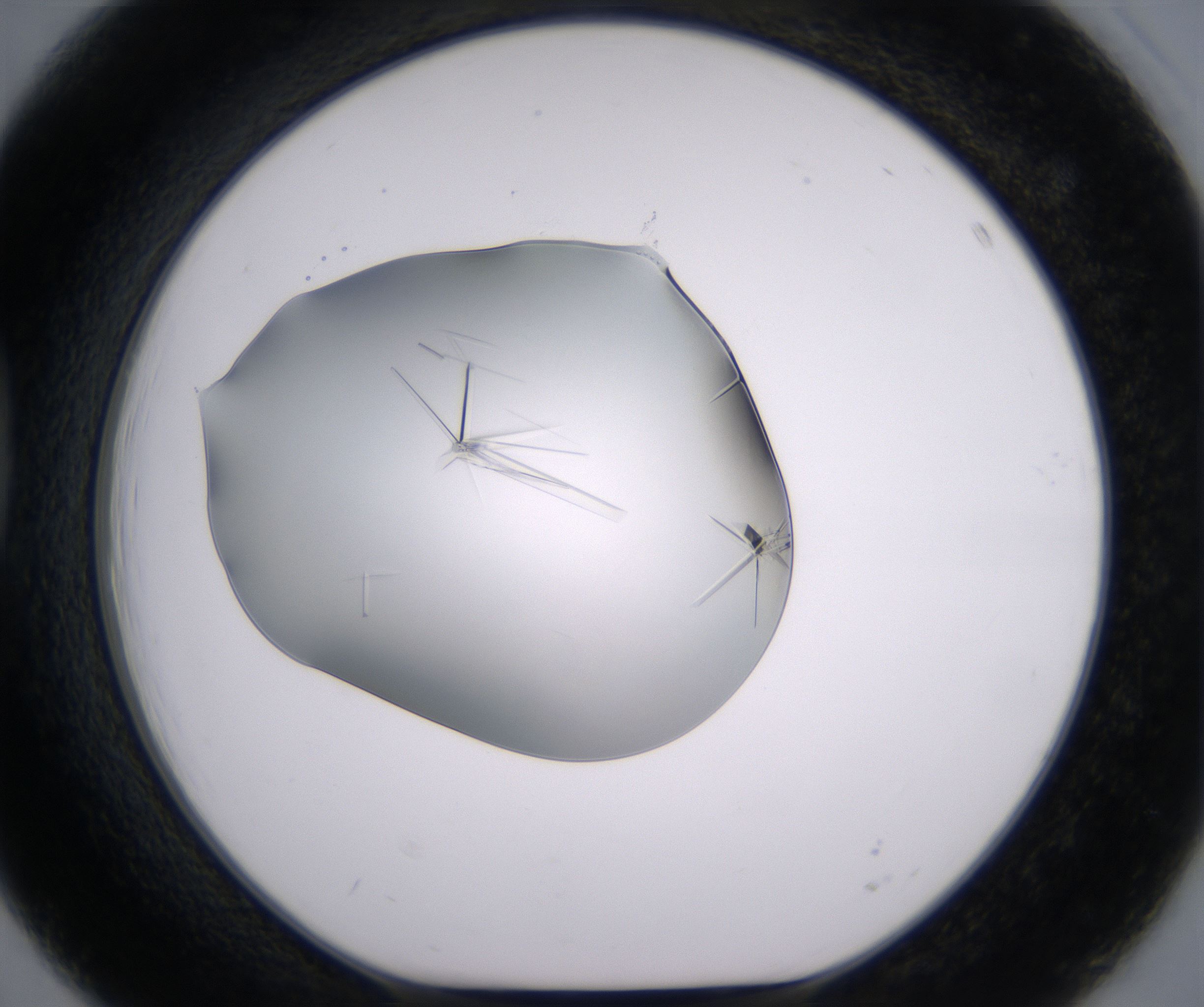 D3_HighResolution_Crystal_1.jpg